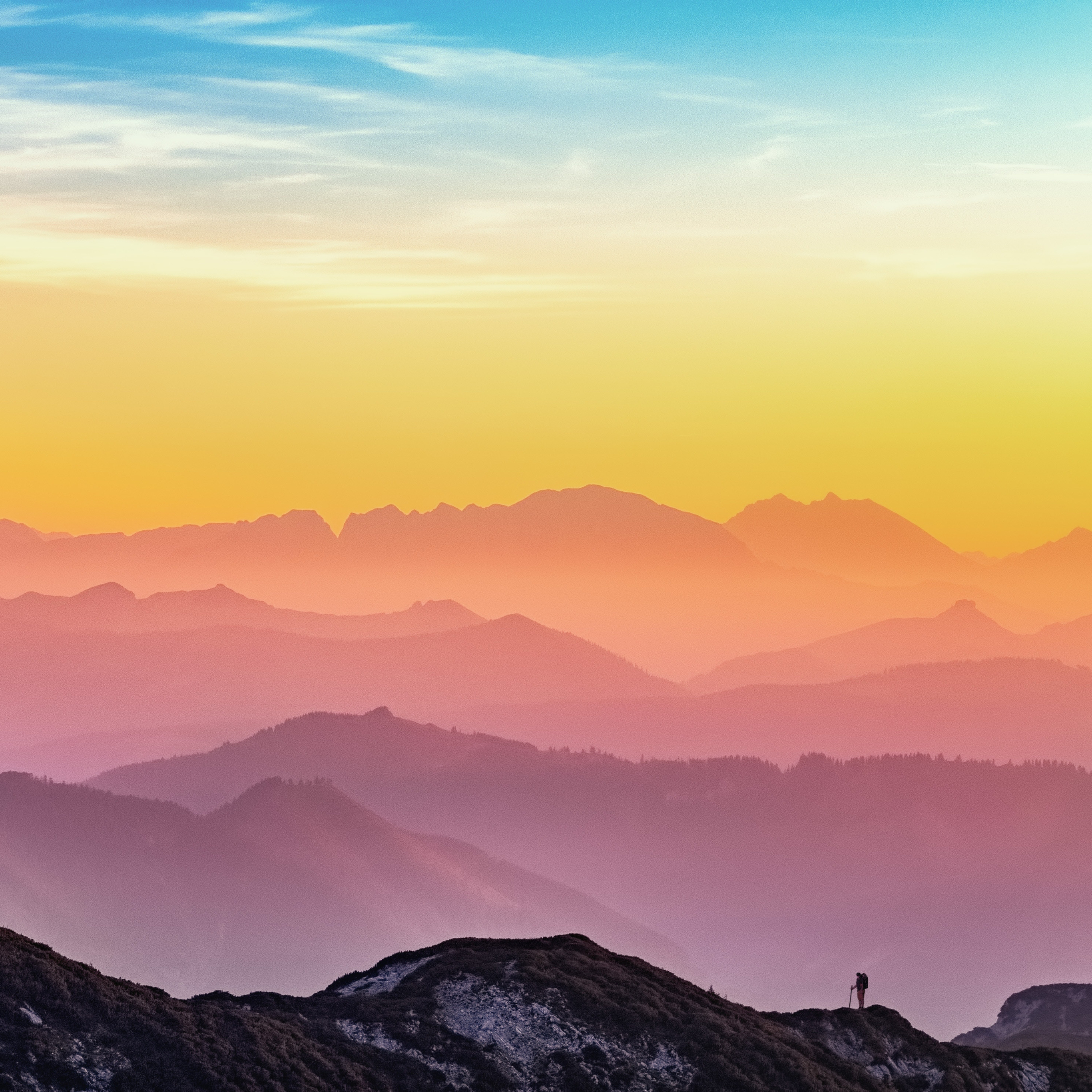 Wallpaper Weekends: Sunset Boulevard