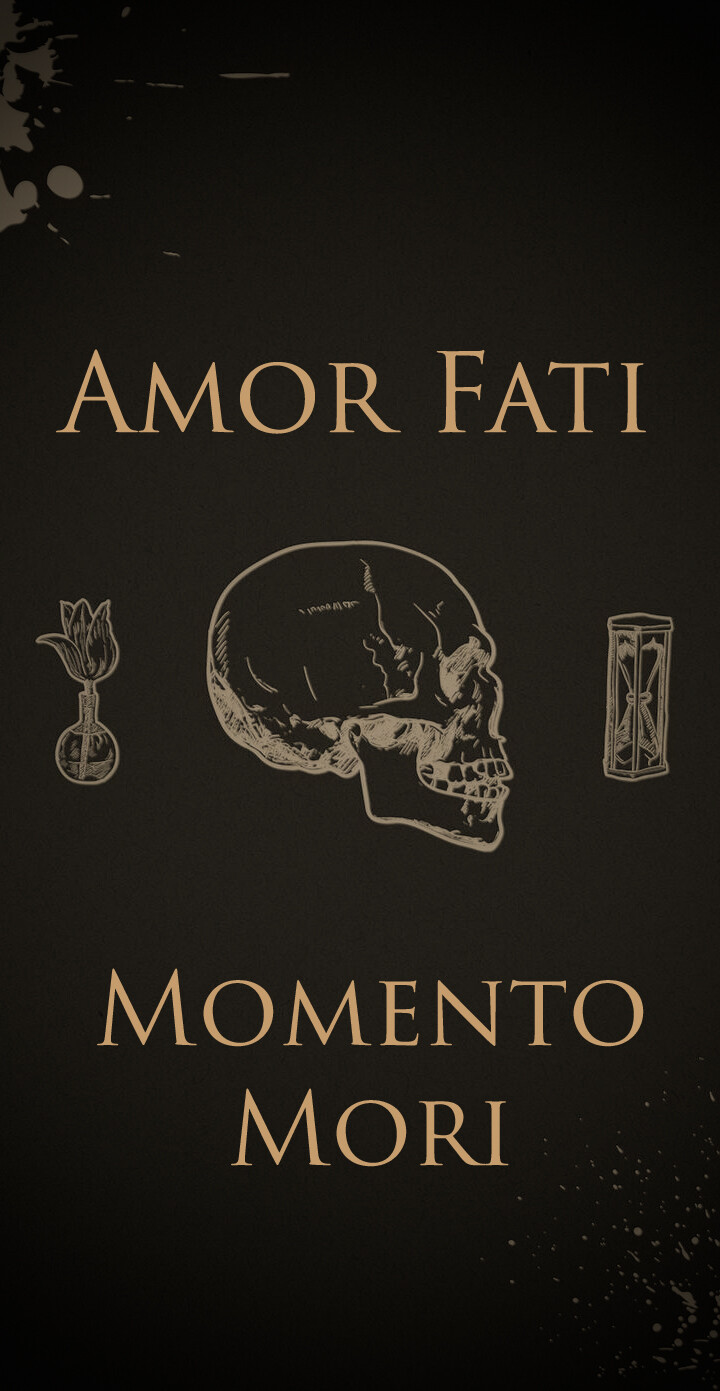 Amor Fati  Single by The Don Tot Offensive  Spotify