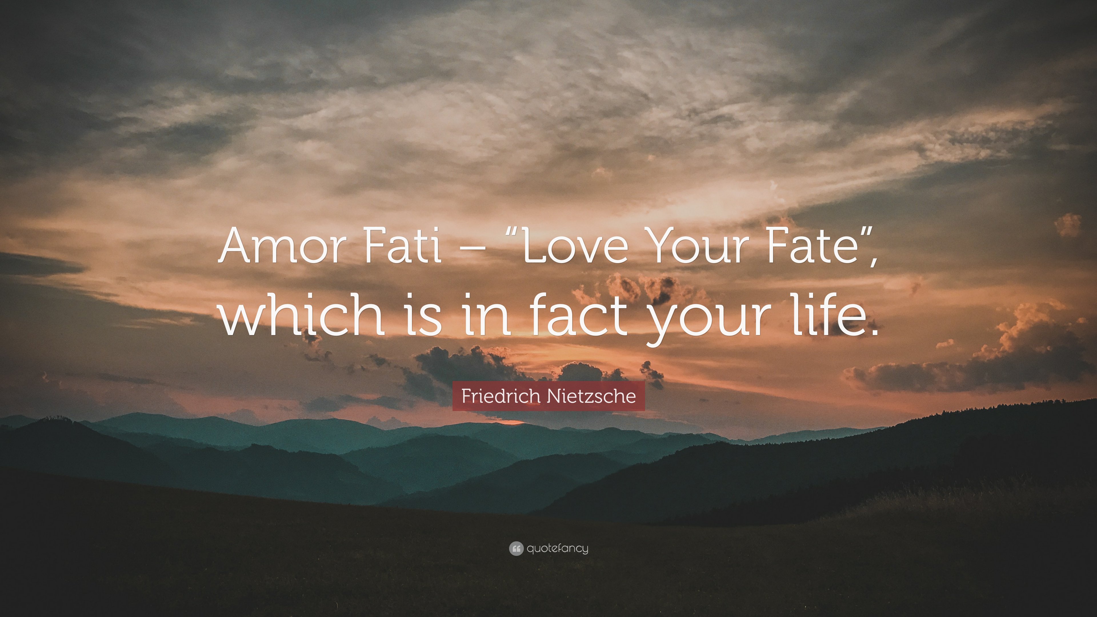 Amor Fati  Amor Fati  Posters and Art Prints  TeePublic