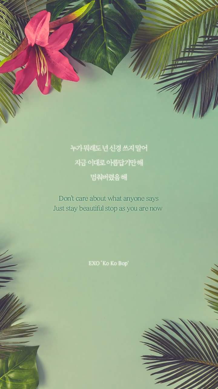 Image about exo in hangul