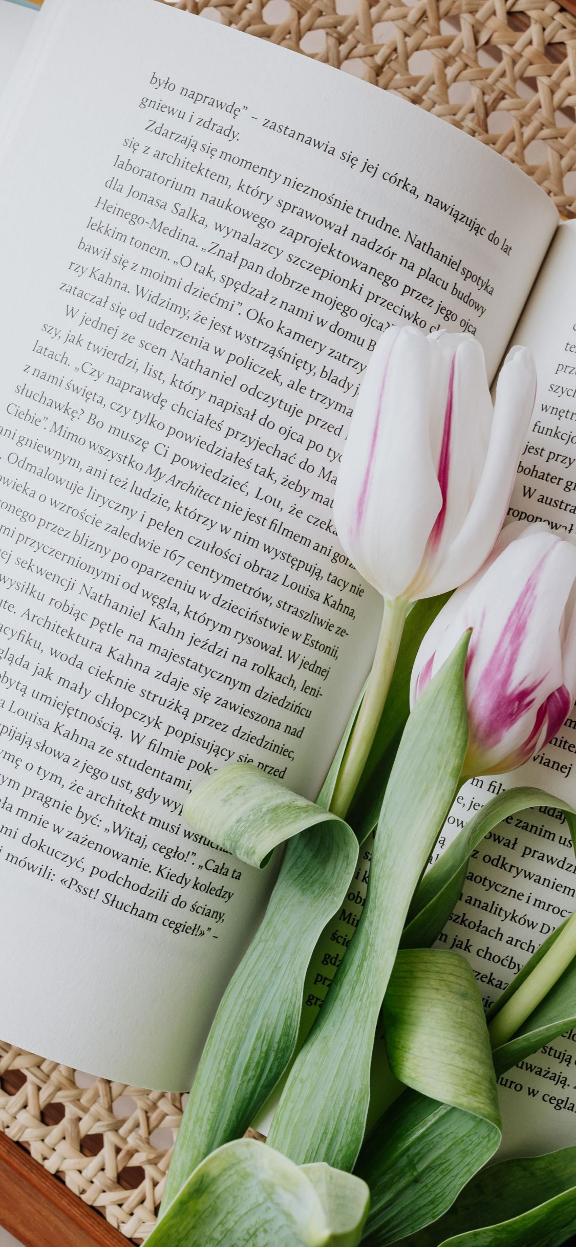 Flowers and book, reading wallpaper. Reading wallpaper, Flower wallpaper, Book wallpaper