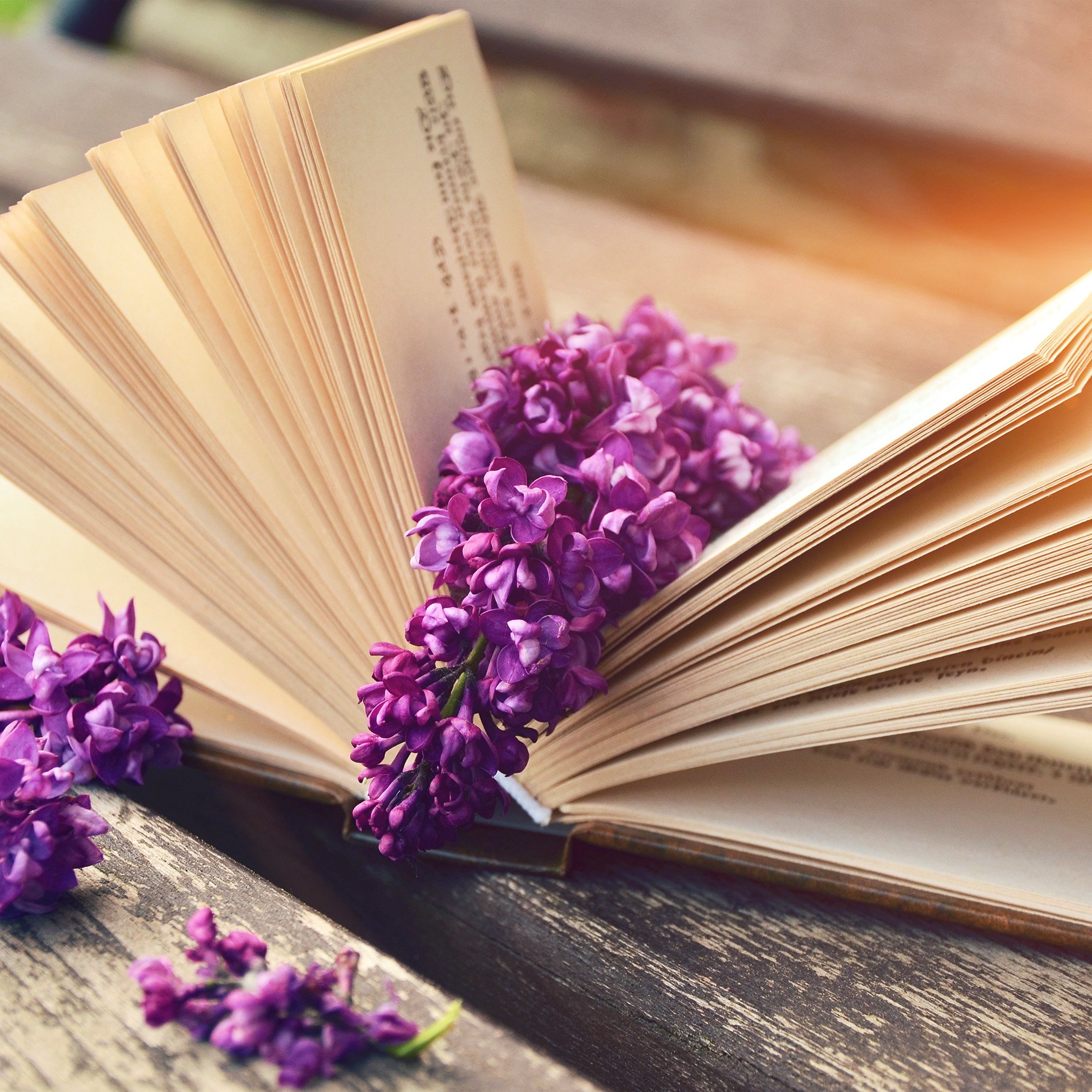 Book Read Time Flower Flare Wallpaper