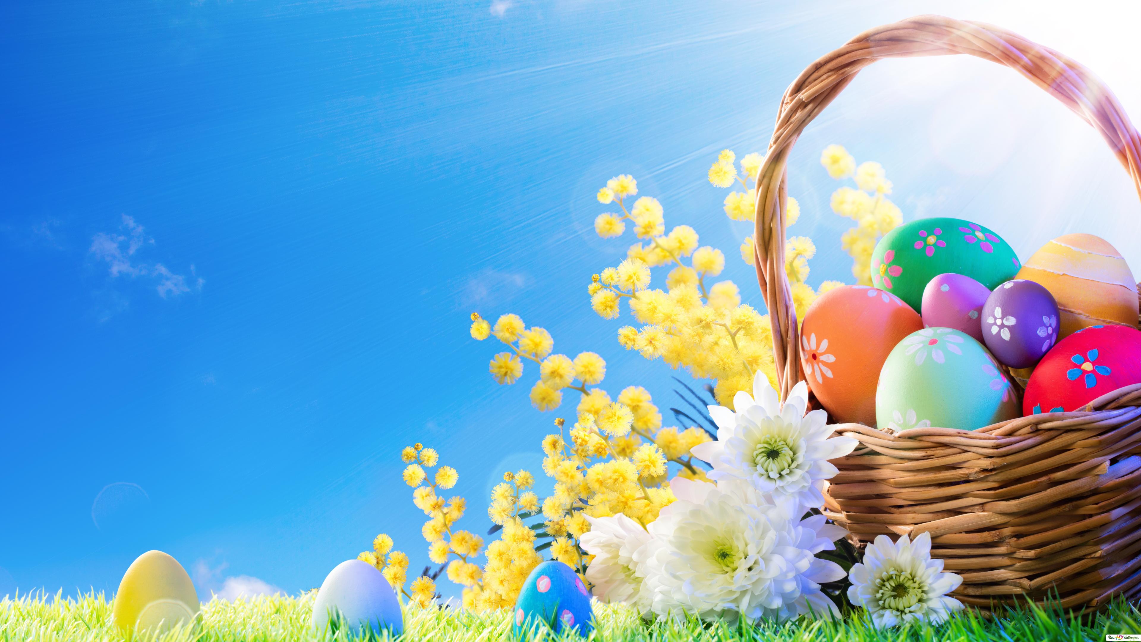 Colorful Easter Eggs & Flowers HD wallpaper download