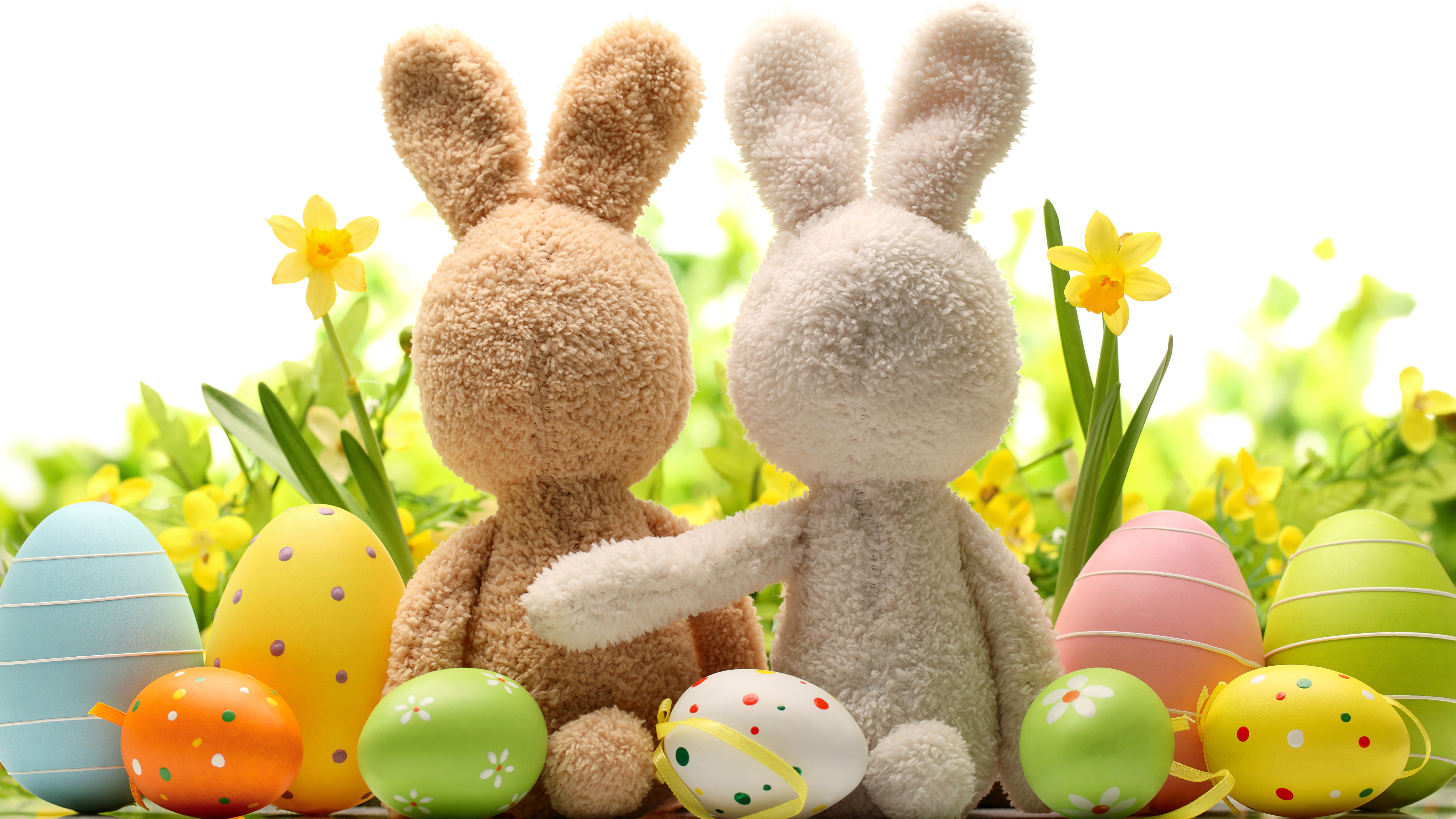 Image Easter Rabbits egg 2 Holidays White background 3840x2160