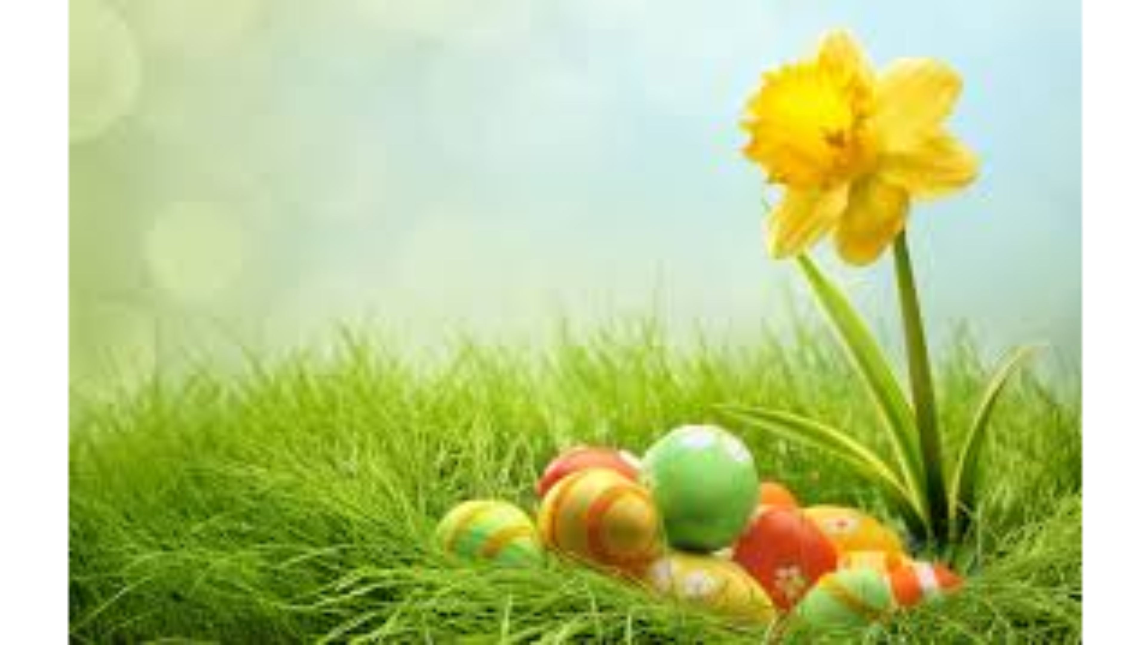 Free download Easter Wallpaper Related Keywords amp Suggestions [3840x2160] for your Desktop, Mobile & Tablet. Explore Easter Wallpaper Free. Happy Easter Wallpaper, Free Spring Wallpaper, Happy Easter Desktop Wallpaper