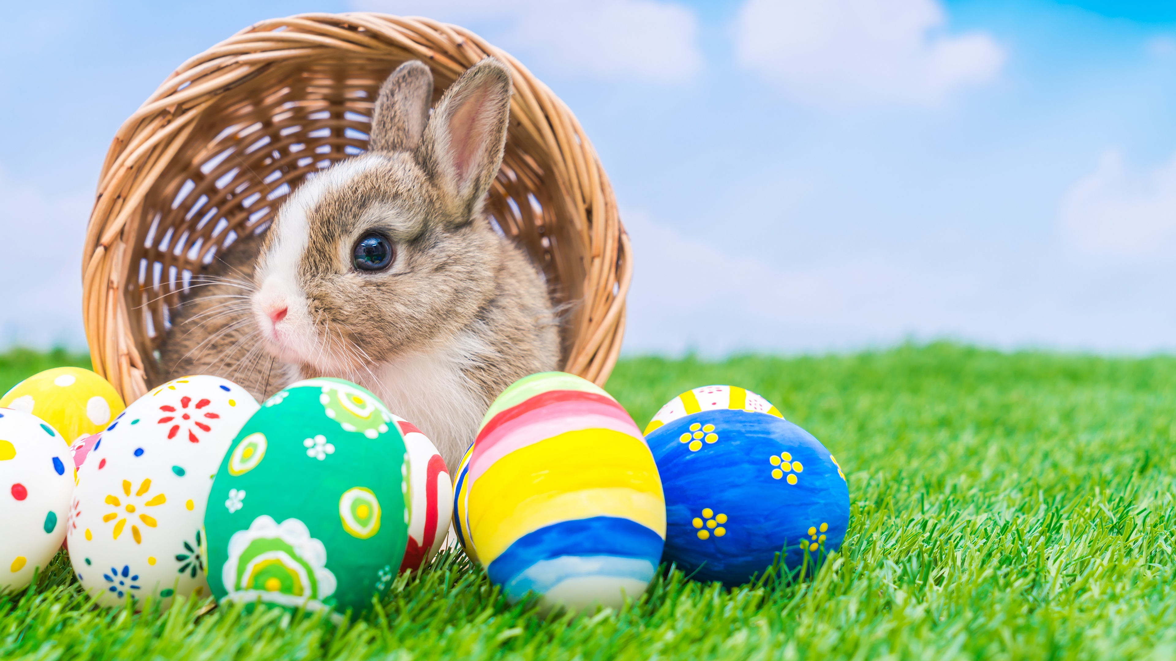 Wallpaper Easter Rabbits Eggs Grass Animals 3840x2160