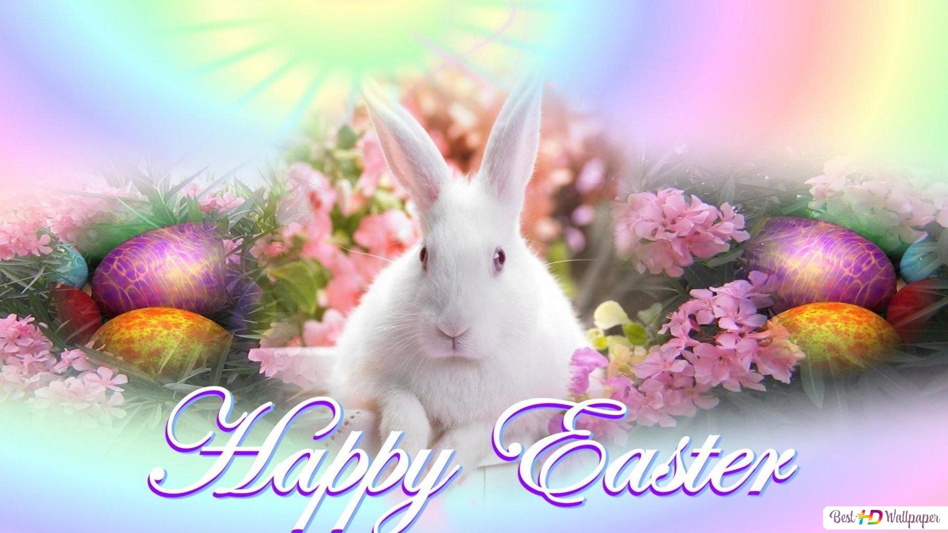 Easter rainbow bunny HD wallpaper download