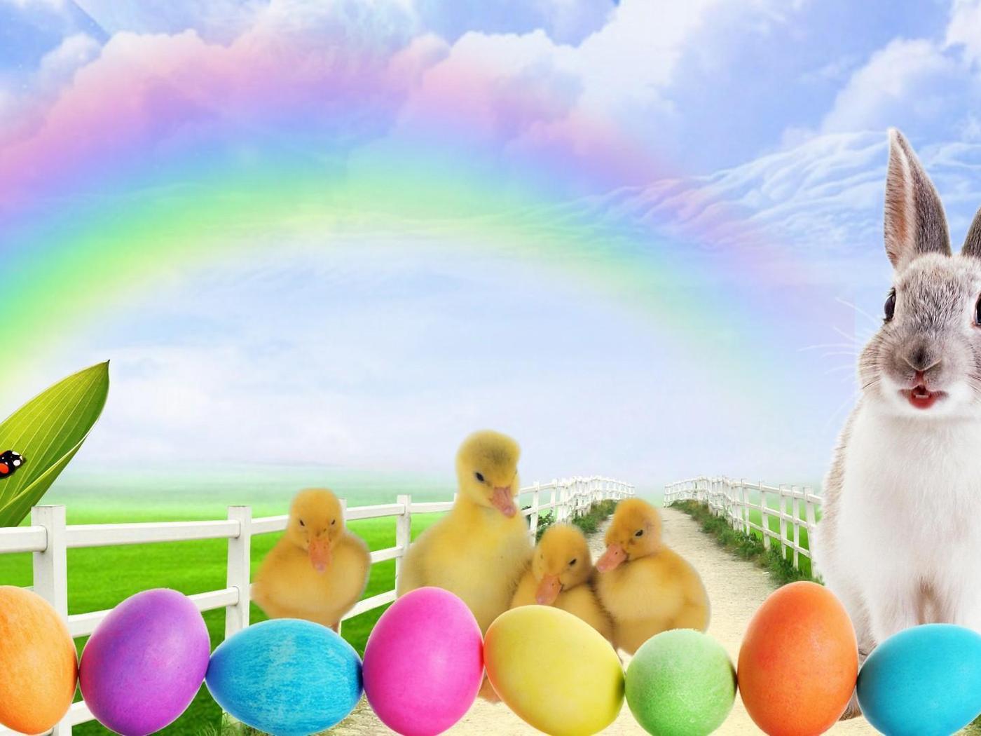 Wallpaper with bunny and coloured eggs