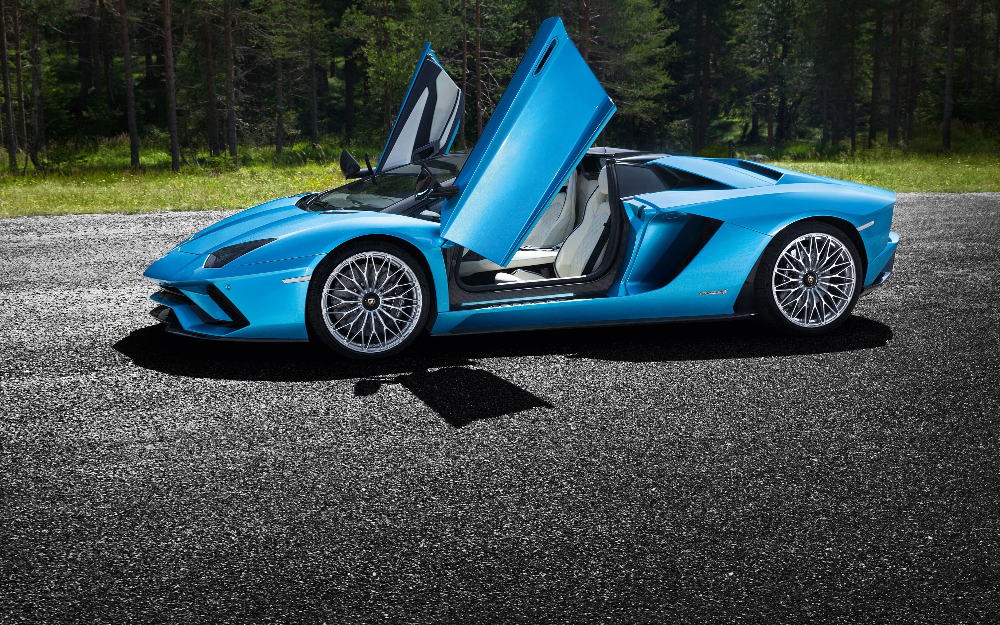 Open Doors, Lamborghini Aventador S, Wallpaper Aventador S