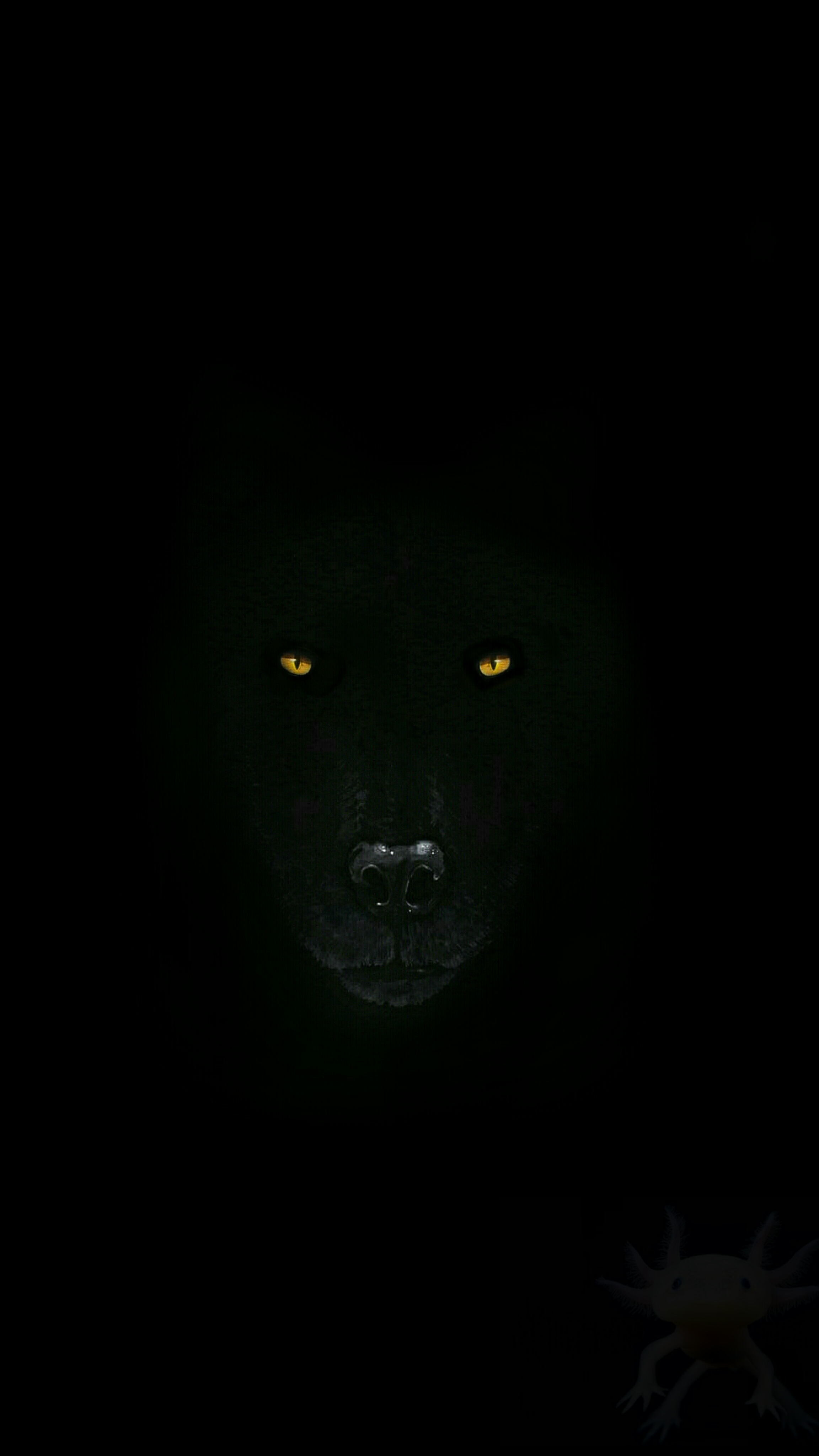 Look at this Wolf wallpaper i made