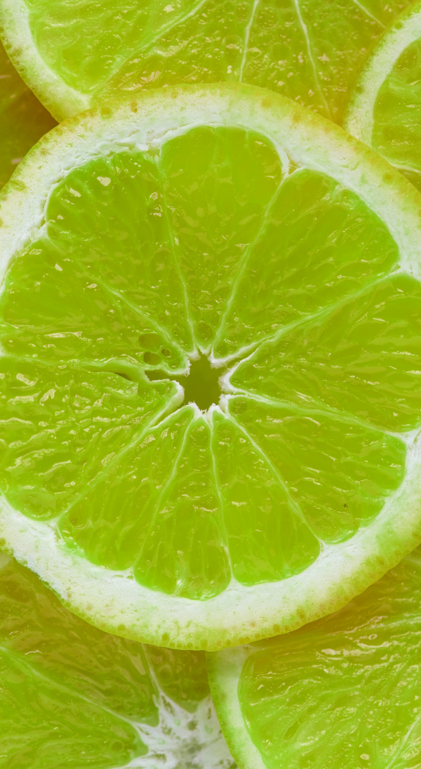 Download Green lemons, slices, fruits, close up wallpaper, 1440x Samsung Galaxy Note 8
