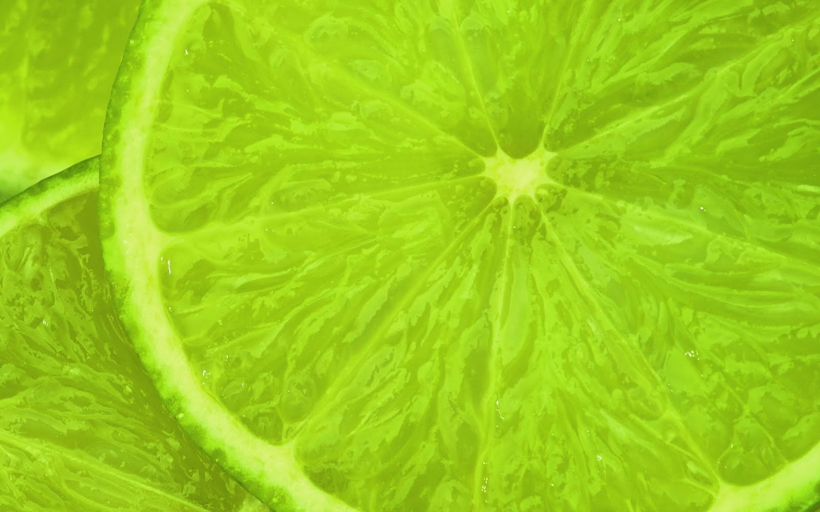 Free download Fresh Green Lime Slice Lemon HD Wallpaper Epic Desktop Background [1600x1000] for your Desktop, Mobile & Tablet. Explore Green Wallpaper Background. Green Wallpaper, HD Green Wallpaper, Green