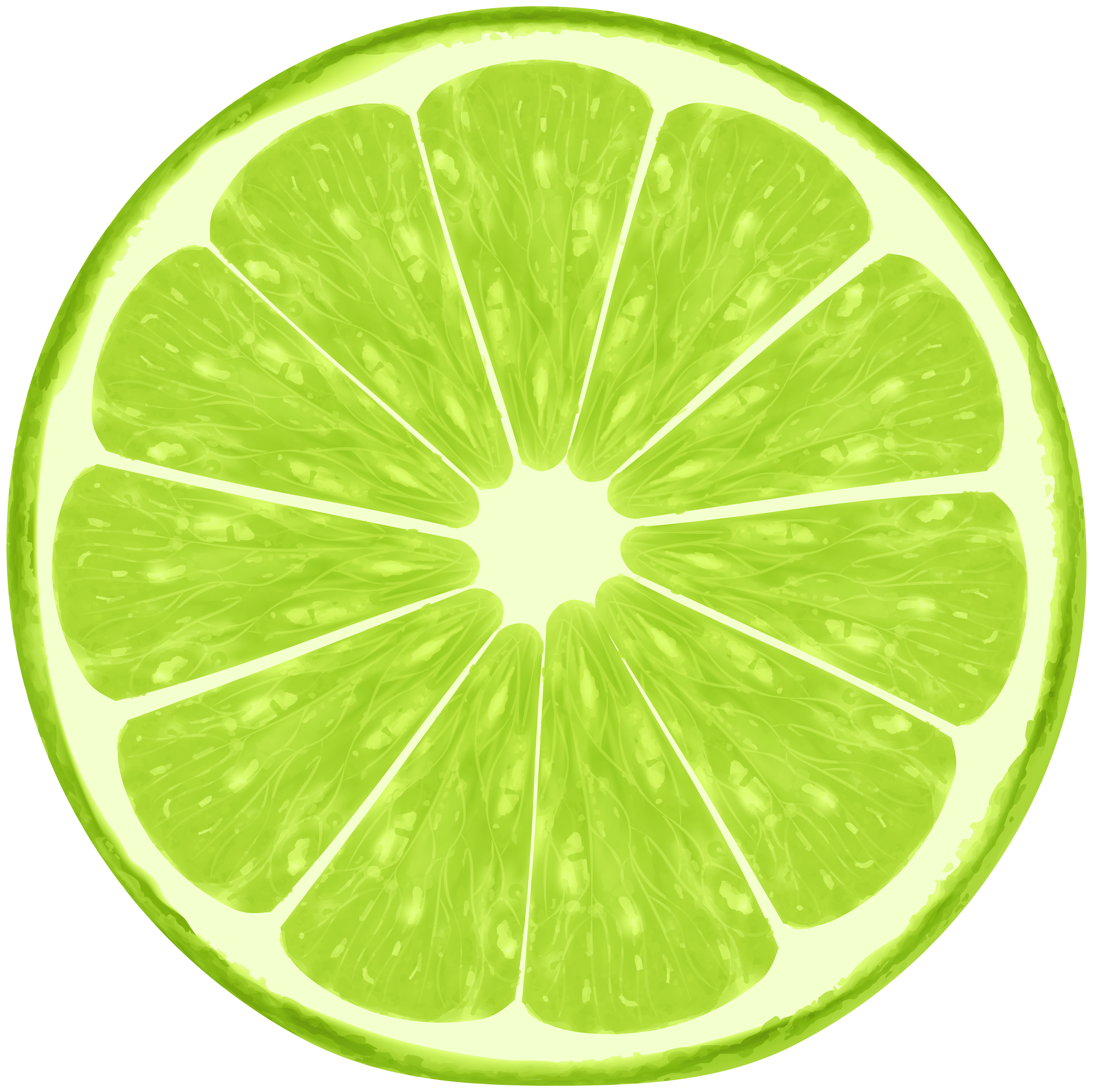 Green Lemon Slices PNG Clipart​-Quality Free Image and Transparent PNG Clipart