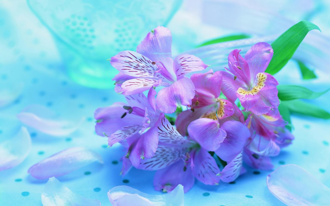 Download Wallpaper Purple Spring Flowers Blue Purple Flower