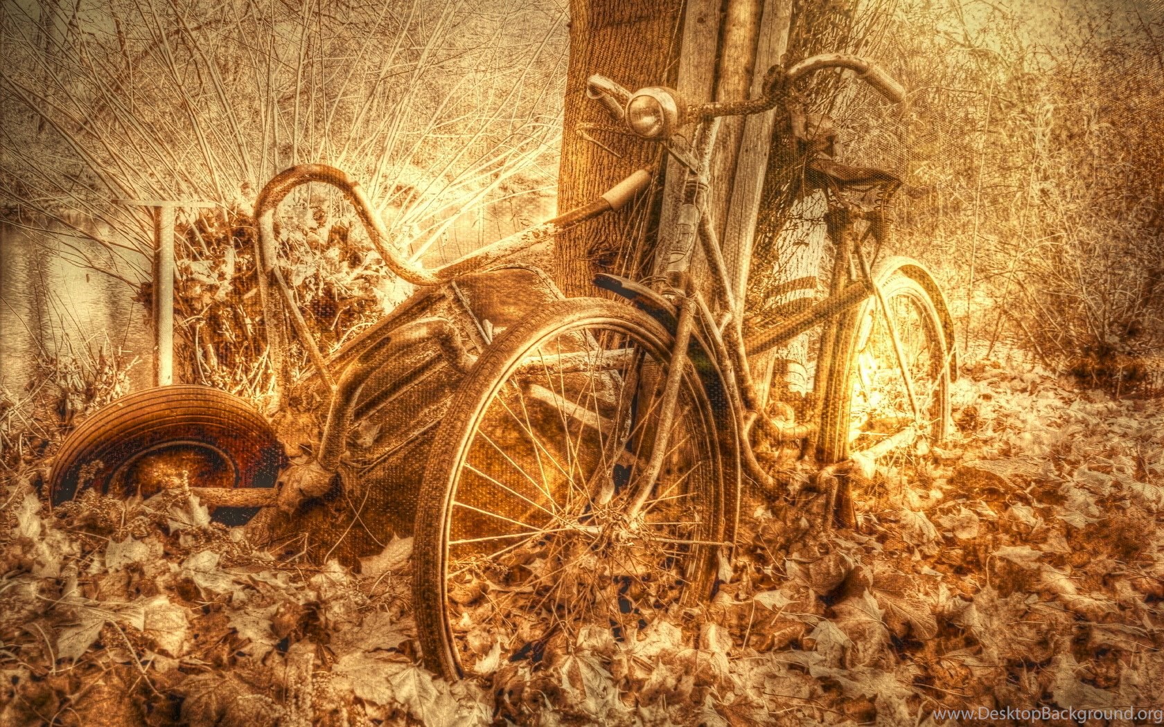 Old Bicycle Motorcycles Oldtime Antique Wallpaper Desktop Background