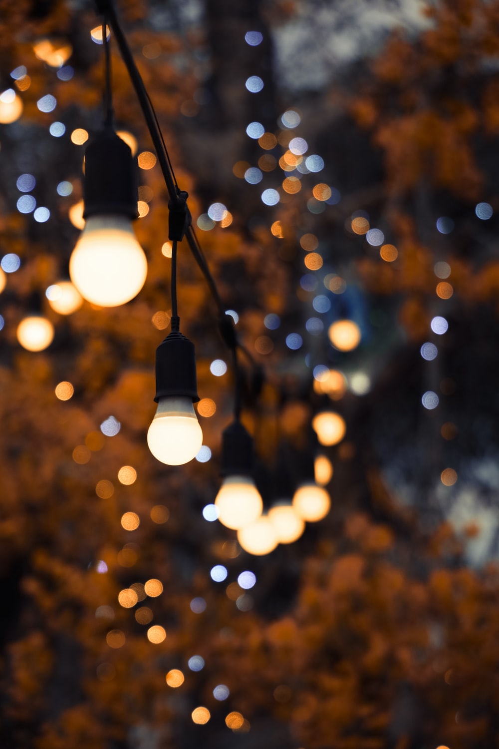 Winter Lights Picture. Download Free Image
