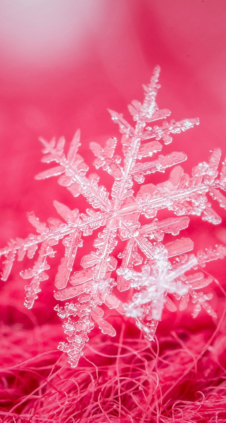 Pink snowflake. Christmas phone wallpaper, Wallpaper iphone christmas, Winter wallpaper