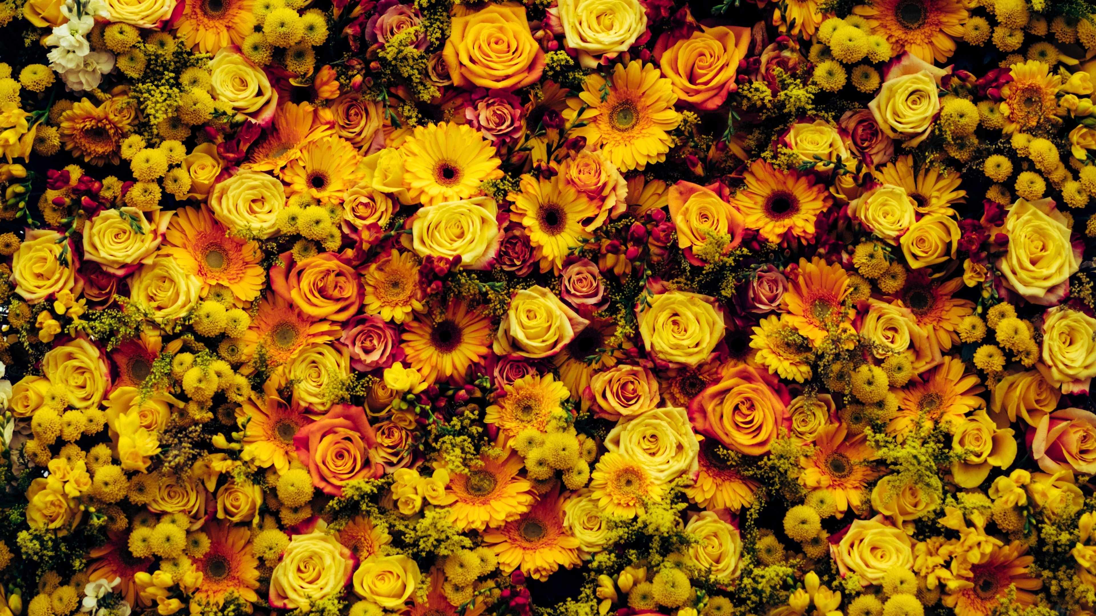 Sunflower, Cut Flowers, Flower Arranging, Spring, Flower Flower Wall Paper iPhone Wallpaper & Background Download