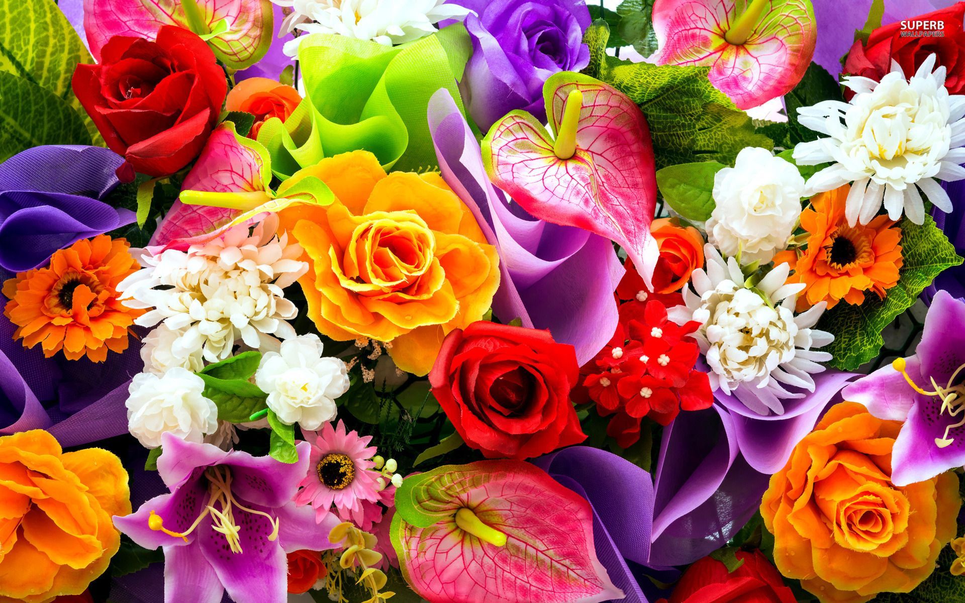 Colourful Flowers Wallpaper Free Colourful Flowers Background