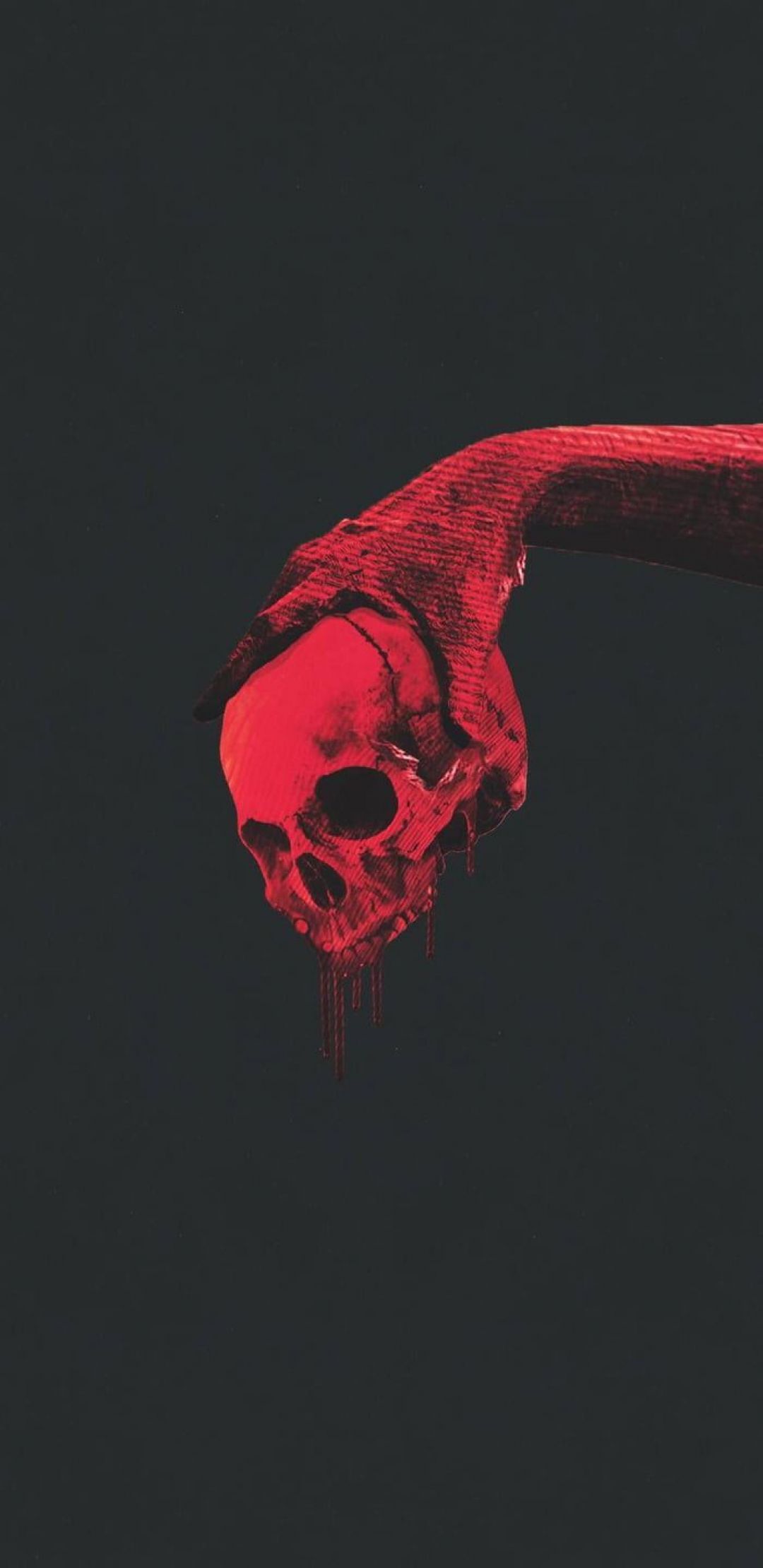 Aesthetic Skull, iPhone, Desktop HD Background / Wallpaper (1080p, 4k) HD Wallpaper (Desktop Background / Android / iPhone) (1080p, 4k) (1080x2220)