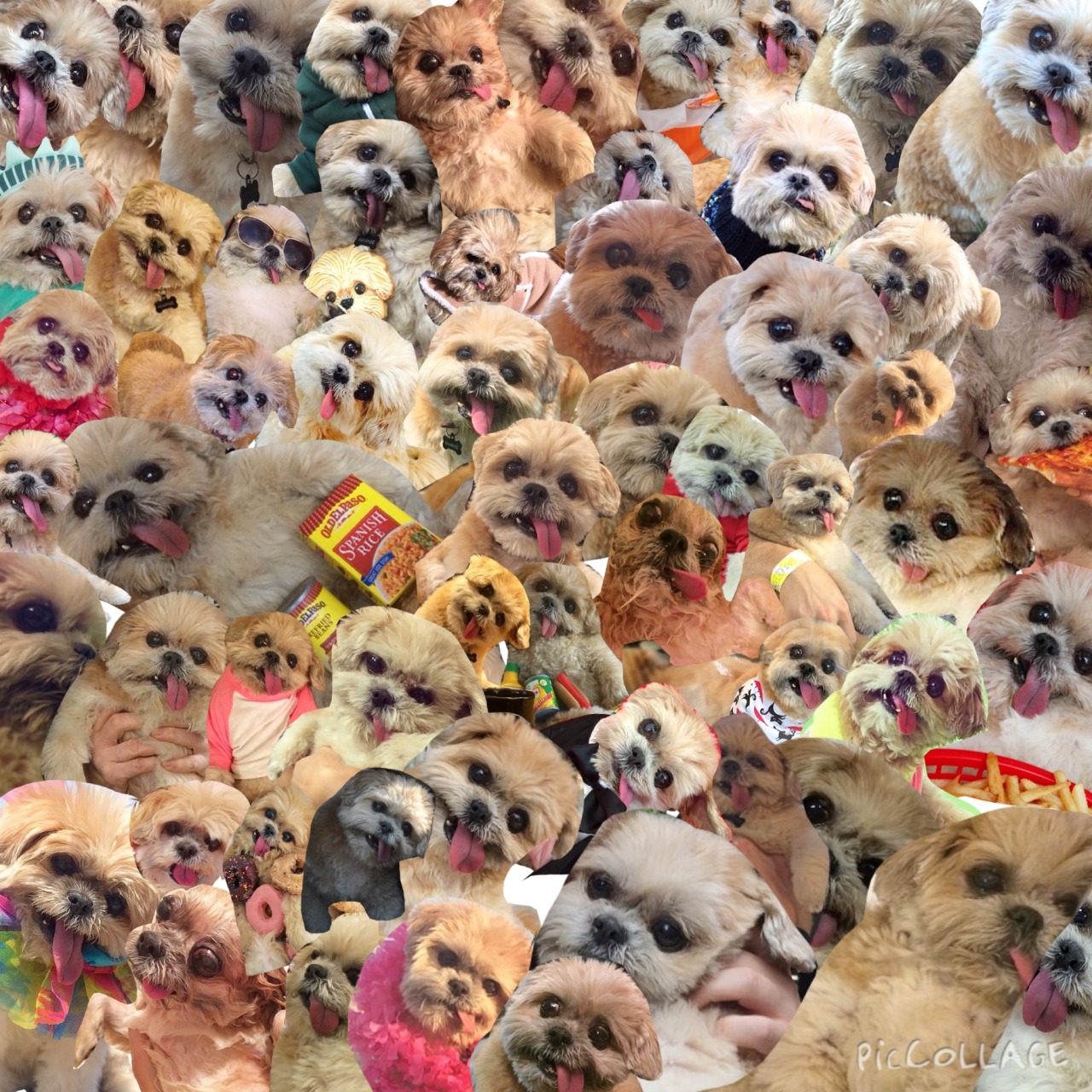 Thank U Kiera For This Masterpiece Dog Wallpaper Collage