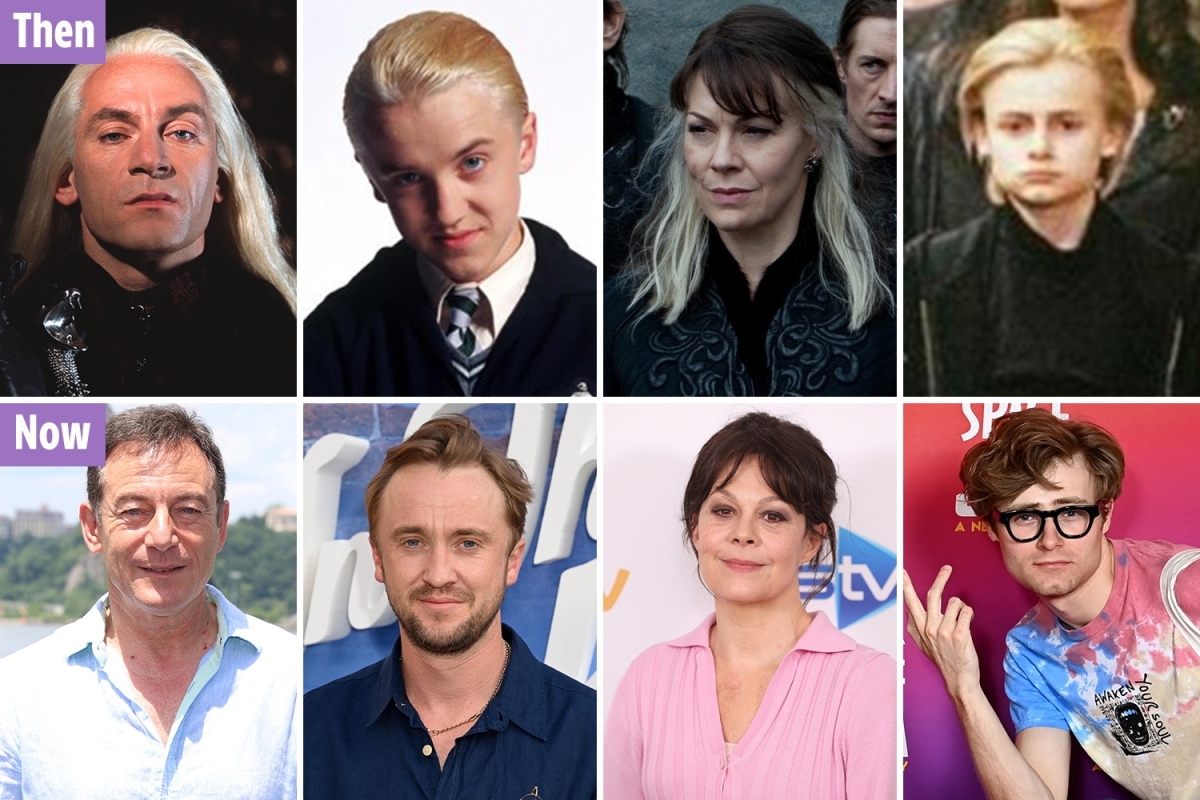 Harry Potter Malfoy family cast then