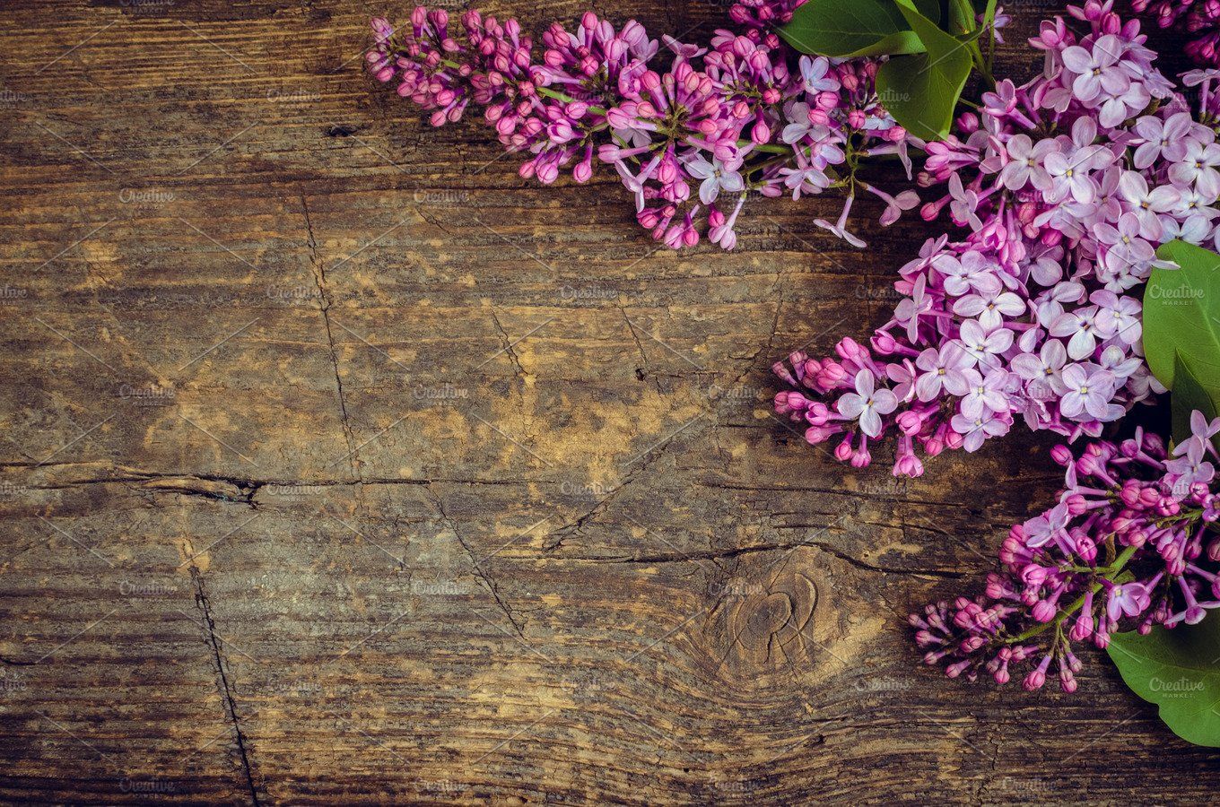 Lilac horizontal background. Flower background wallpaper, Spring wallpaper, Spring desktop wallpaper