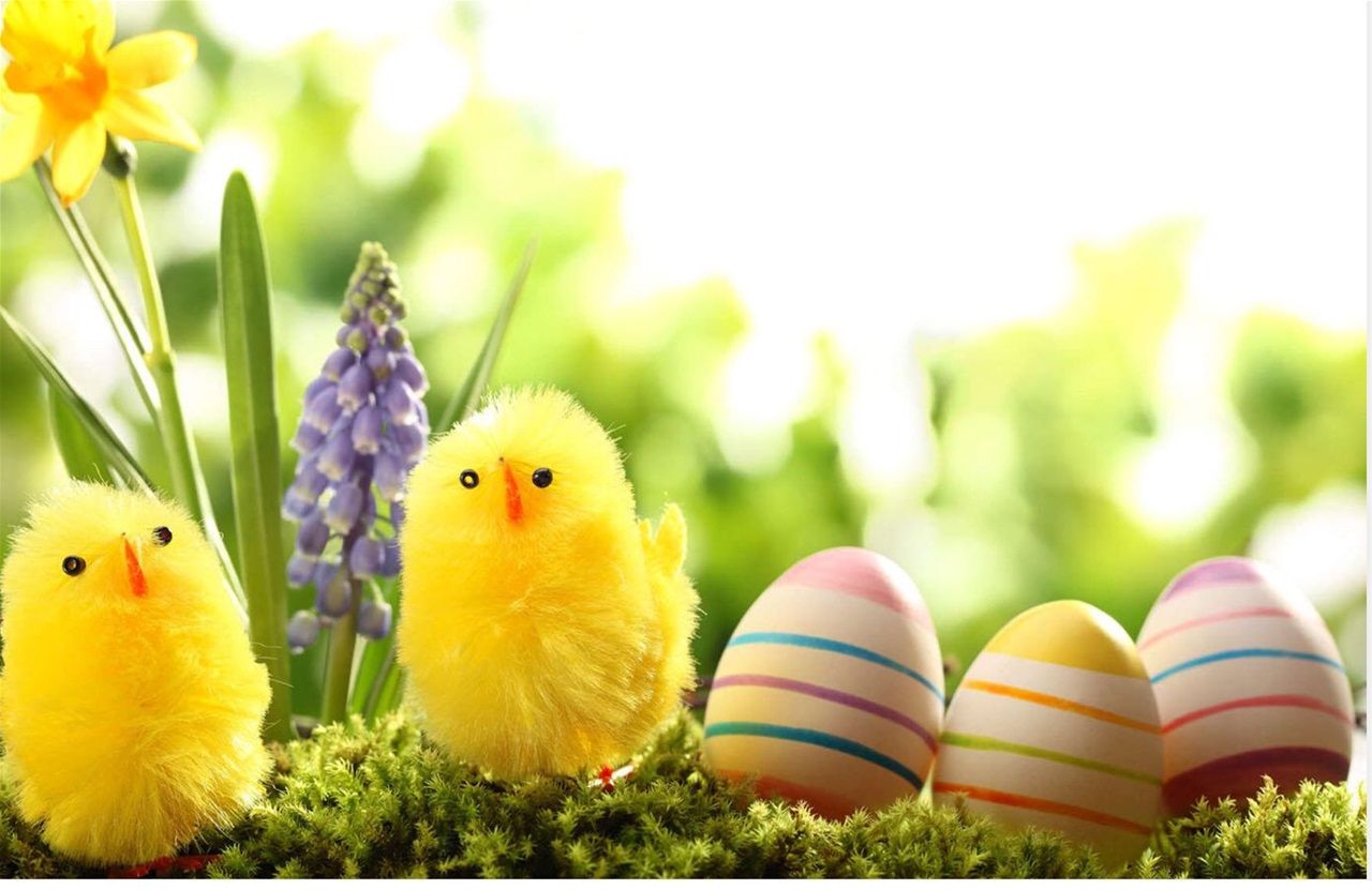 Easter wallpaper, Happy easter wallpaper, Easter background