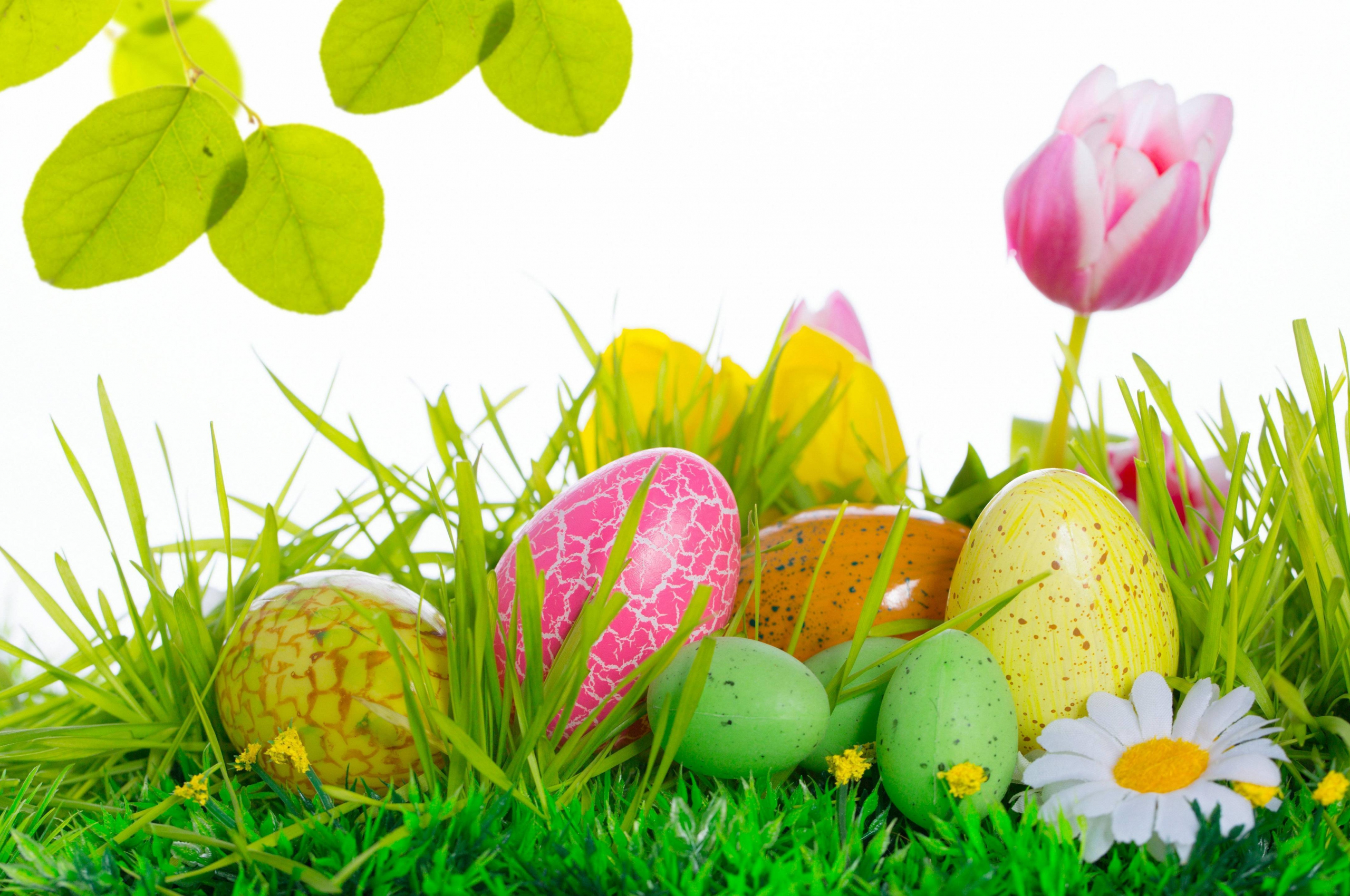 Free download Easter Wallpaper For Computer [4608x2880] for your Desktop, Mobile & Tablet. Explore Free Easter Wallpaper. Happy Easter Wallpaper, Easter Bunny Wallpaper, Easter Wallpaper For Desktop