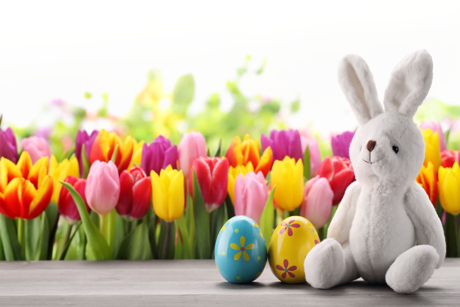 Cute White Easter Bunny And Eggs Cute Easter Background
