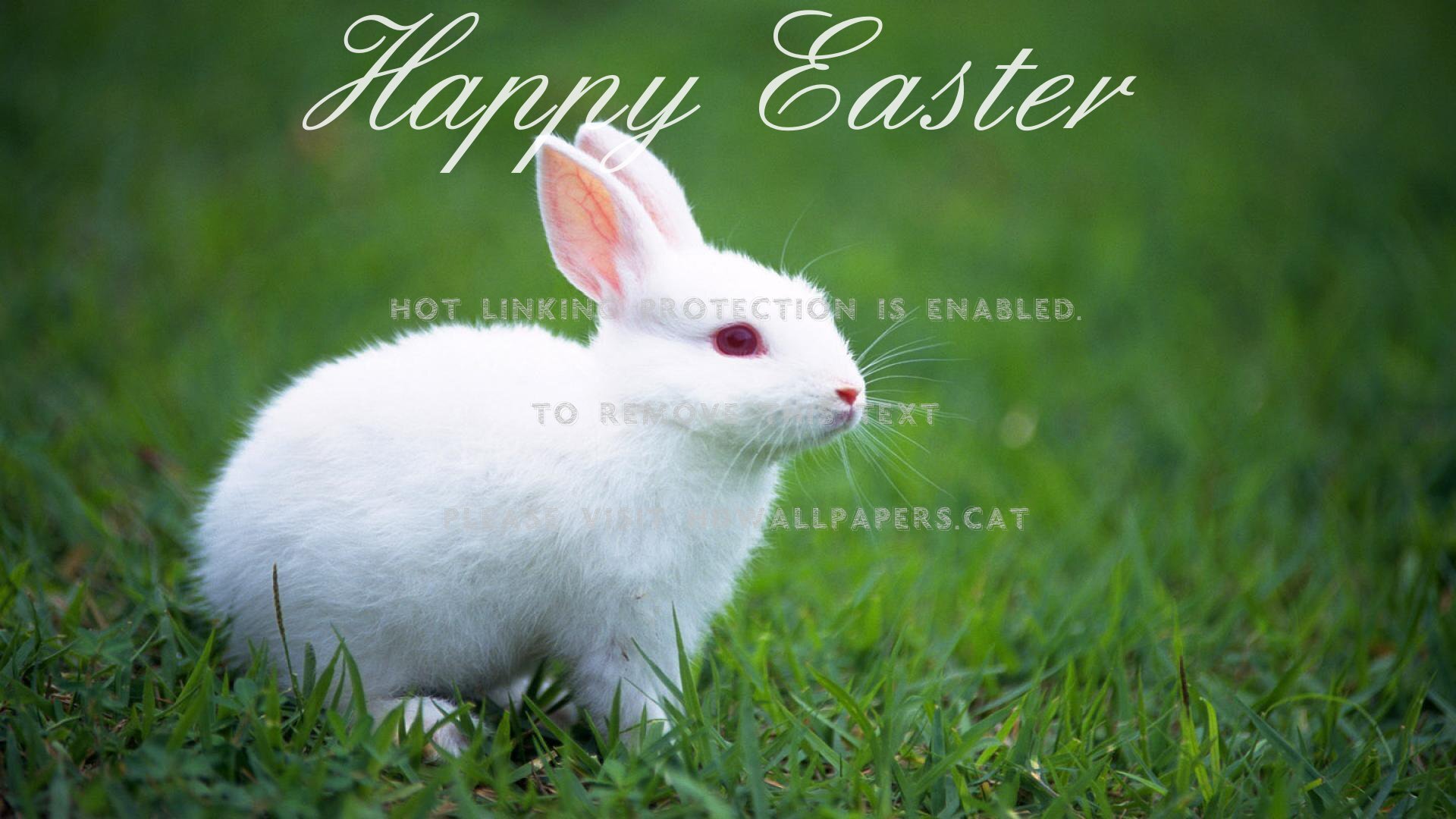 beautiful easter bunny wallpaper with fancy