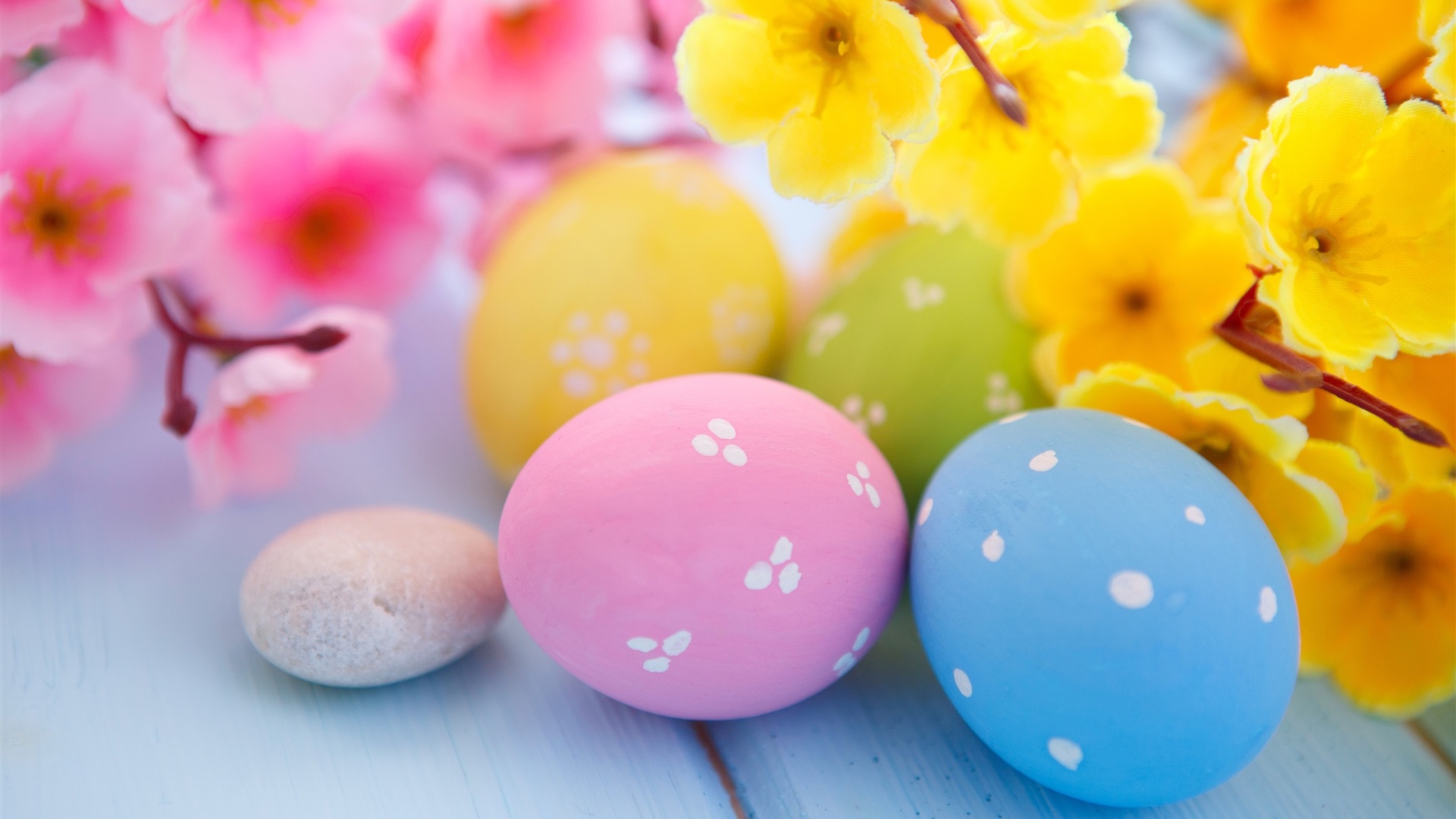 Easter Eggs and Spring Blossoms Laptop Full HD 1080P HD 4k Wallpaper, Image, Background, Photo and Picture
