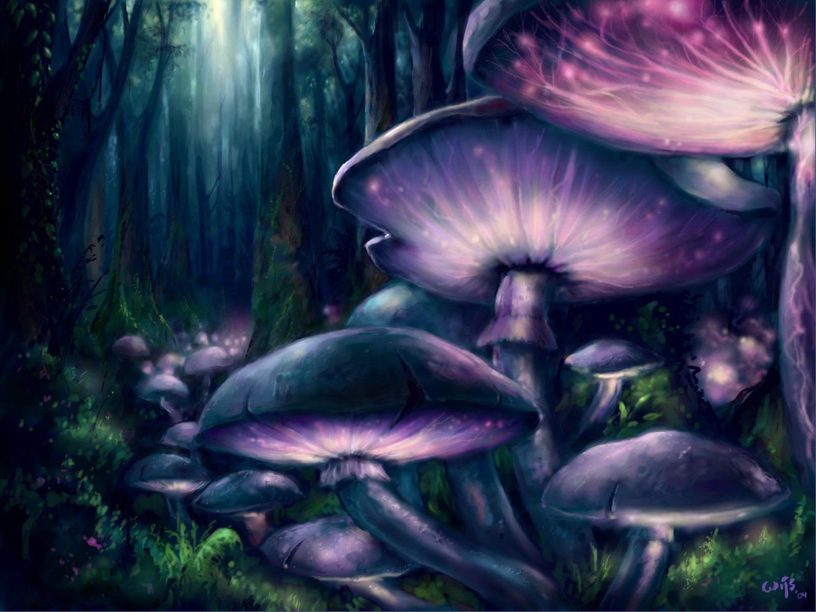 Purple and Blue Mushrooms in Fantasy Forest by Leo de Wijs Wallpaper and Background Imagex1200