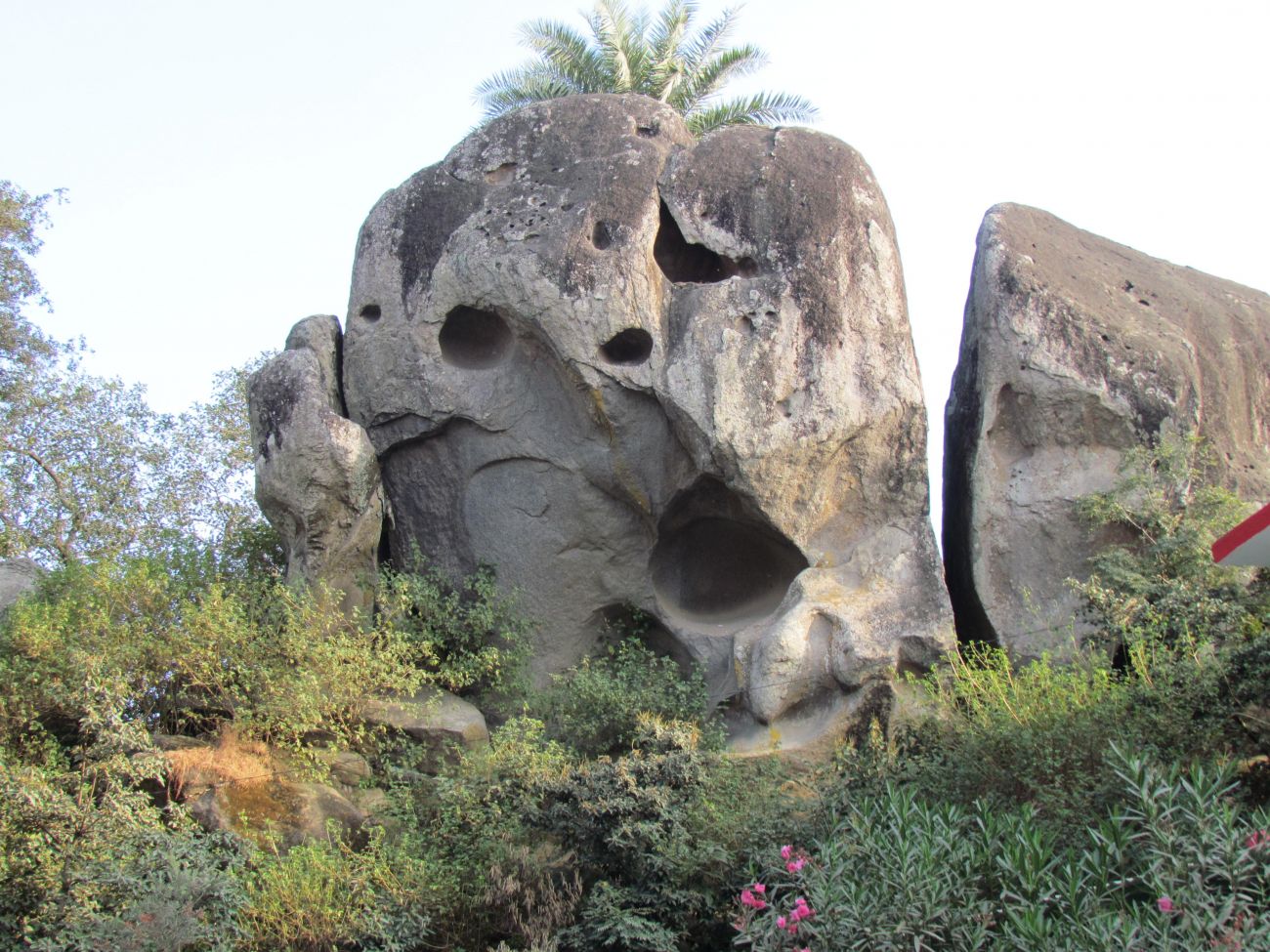 Toad Rock, Mount Abu Rock Mount Abu Wallpaper & Background Download