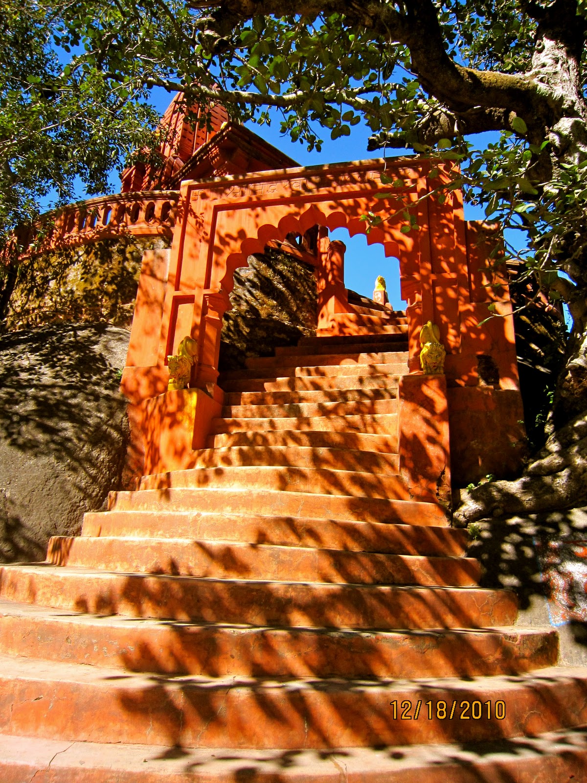 mount abu wallpaper, arch, tree, architecture, rock, national park