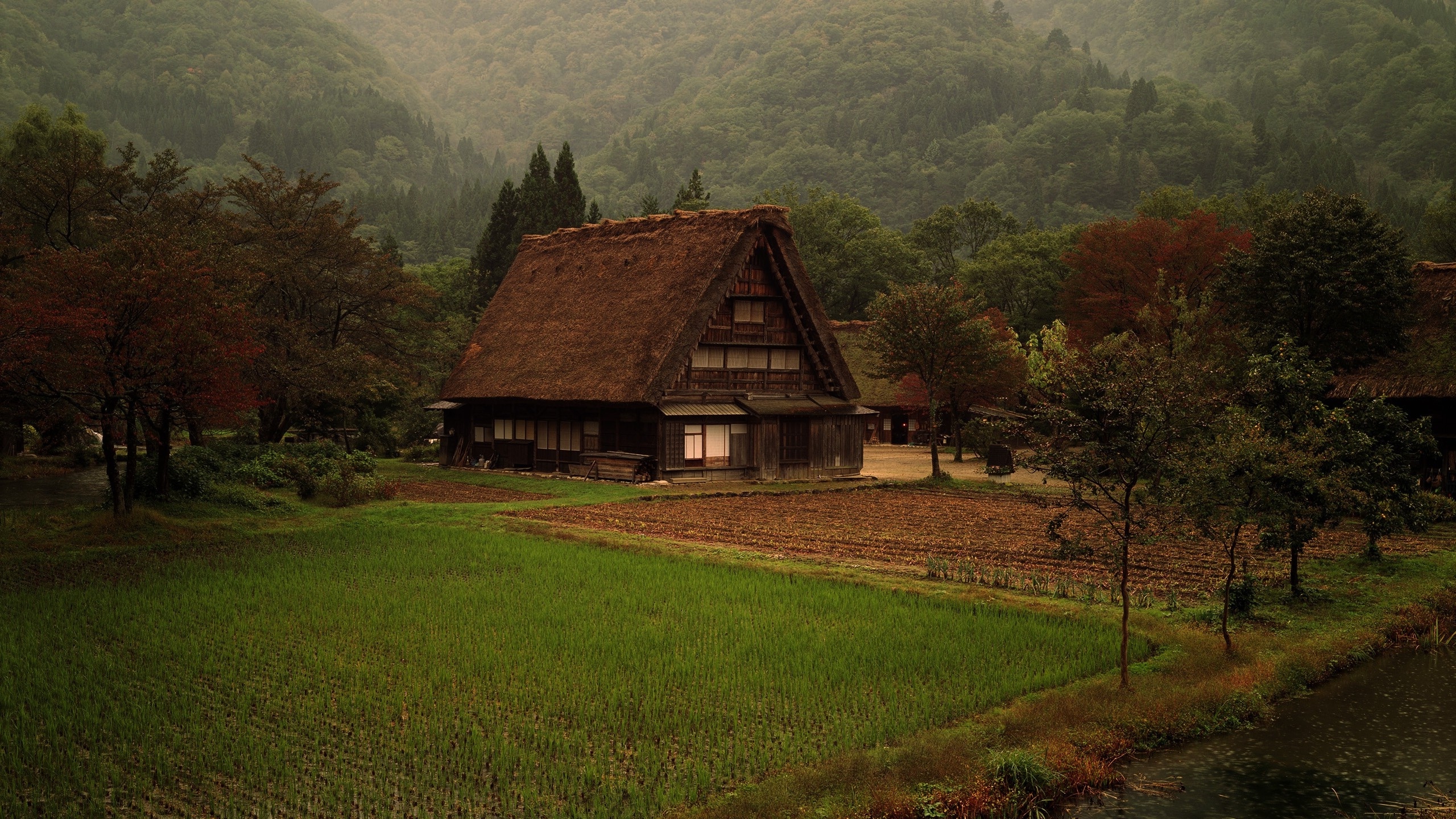 Wallpaper Moody, Mountain, Cropland, Field, Warm, Cozy House:2560x1440
