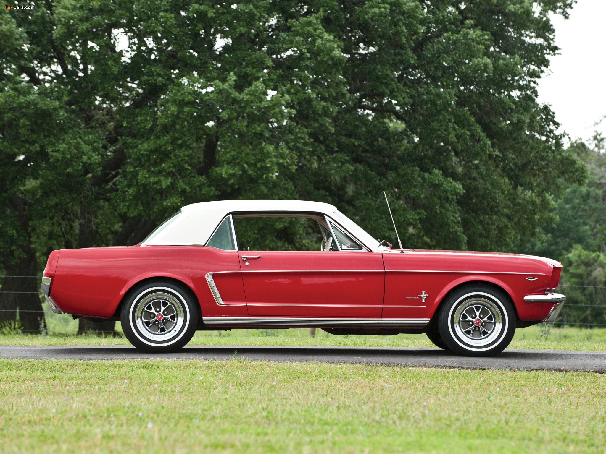 Ford Mustang Wallpaper