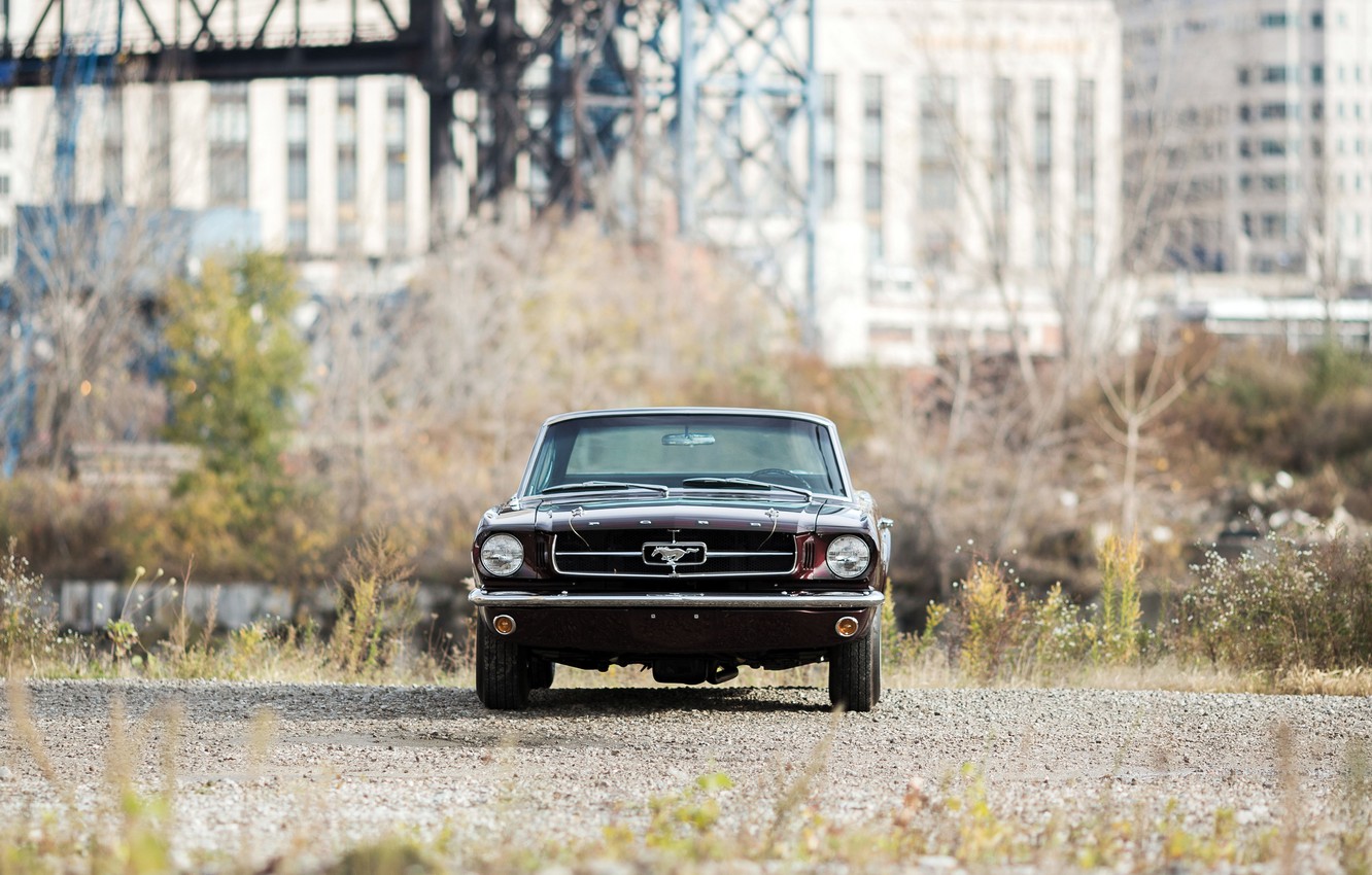 Wallpaper Concept, Mustang, Ford - for desktop, section суперкары