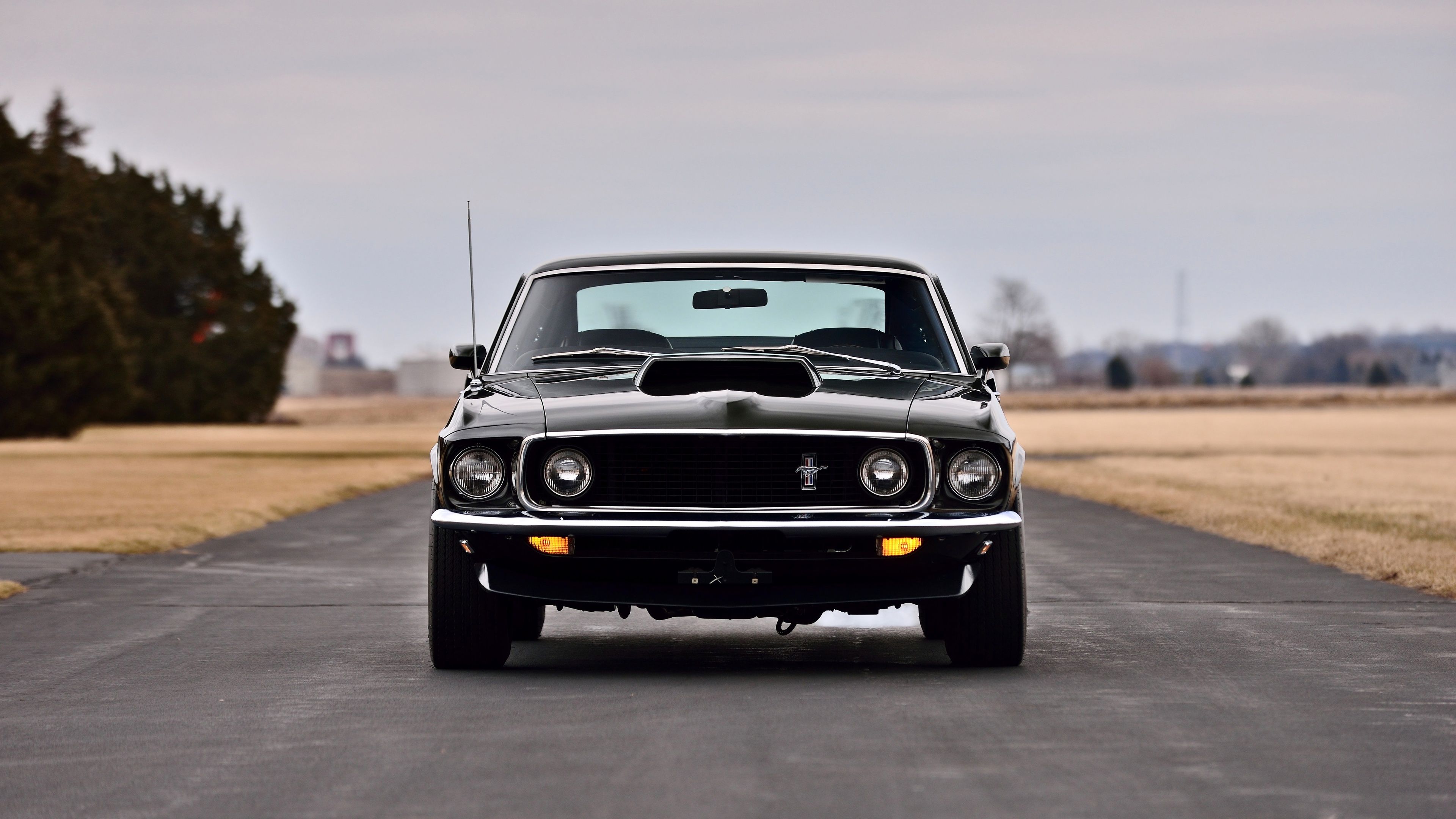 Mustang 1967 Wallpaper 4k
