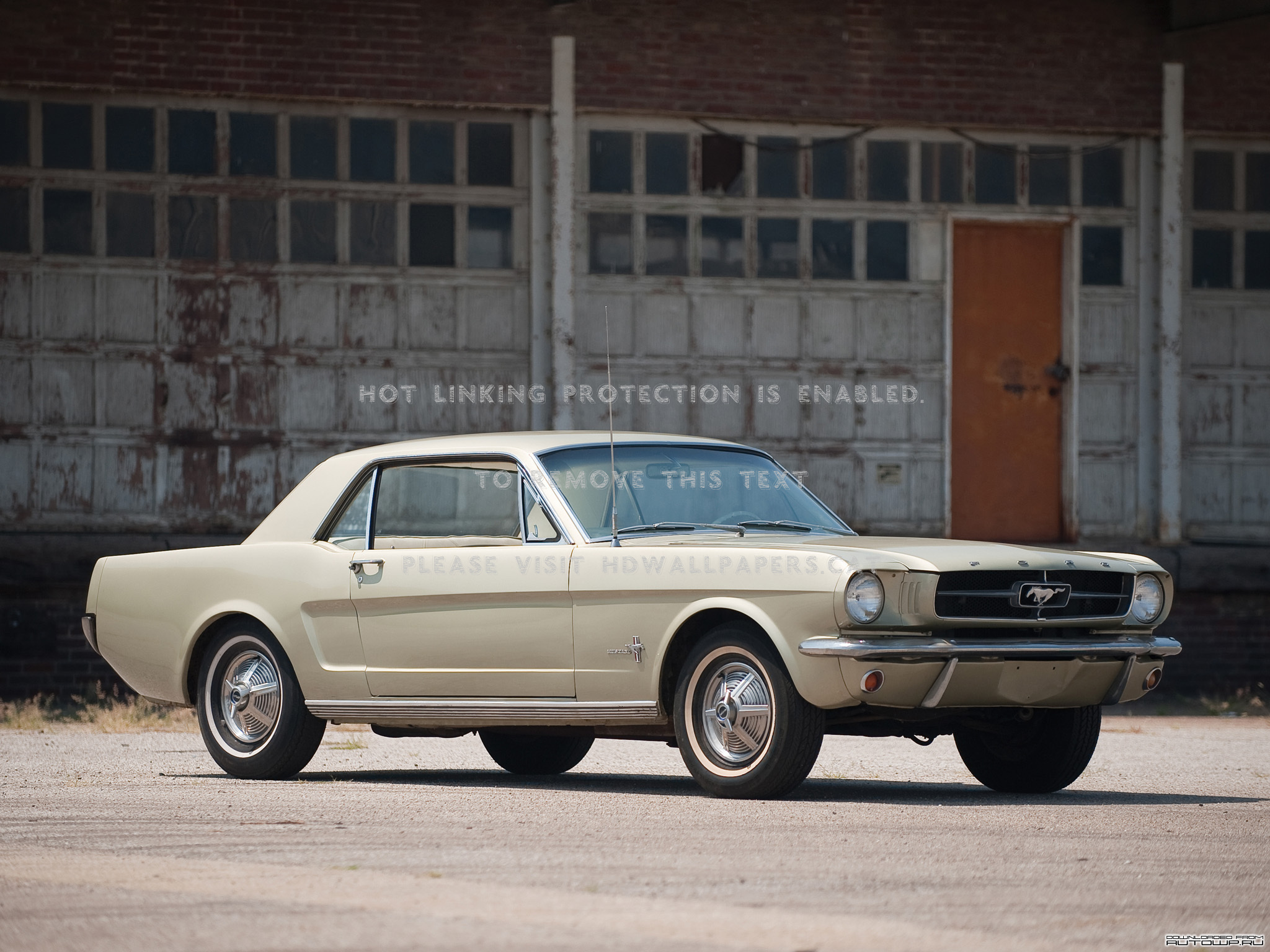 Mustang 20 Iconic Pony Cars Ford Blue