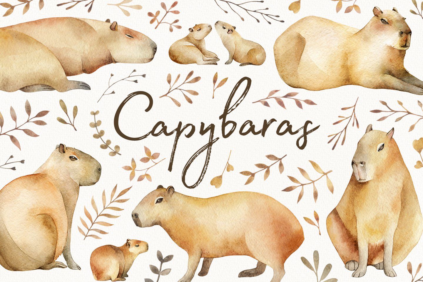Cartoon Capybara Wallpapers Wallpaper Cave