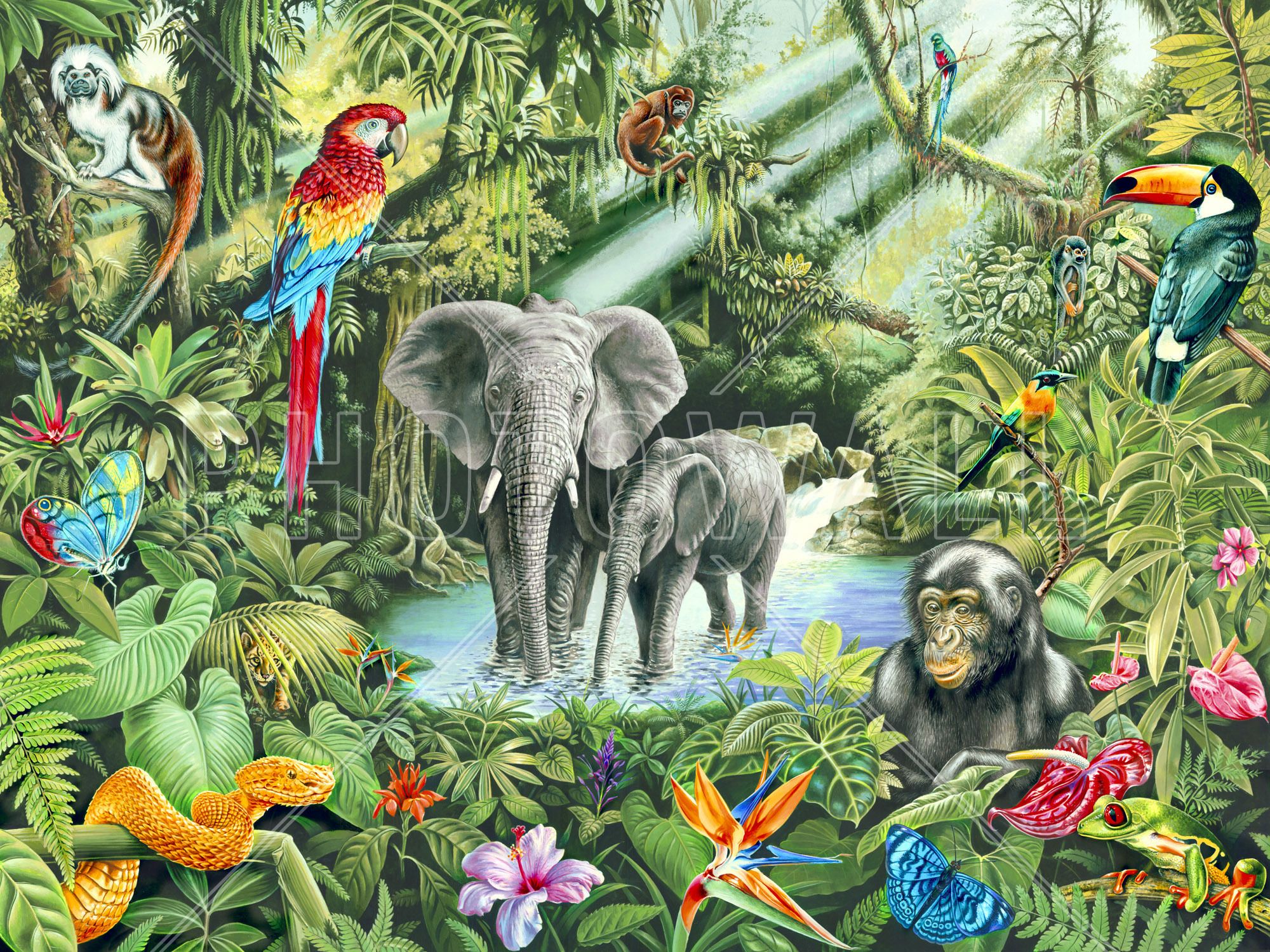 Jungle & Tapeter. Jungle mural, Jungle art, Jungle wall mural