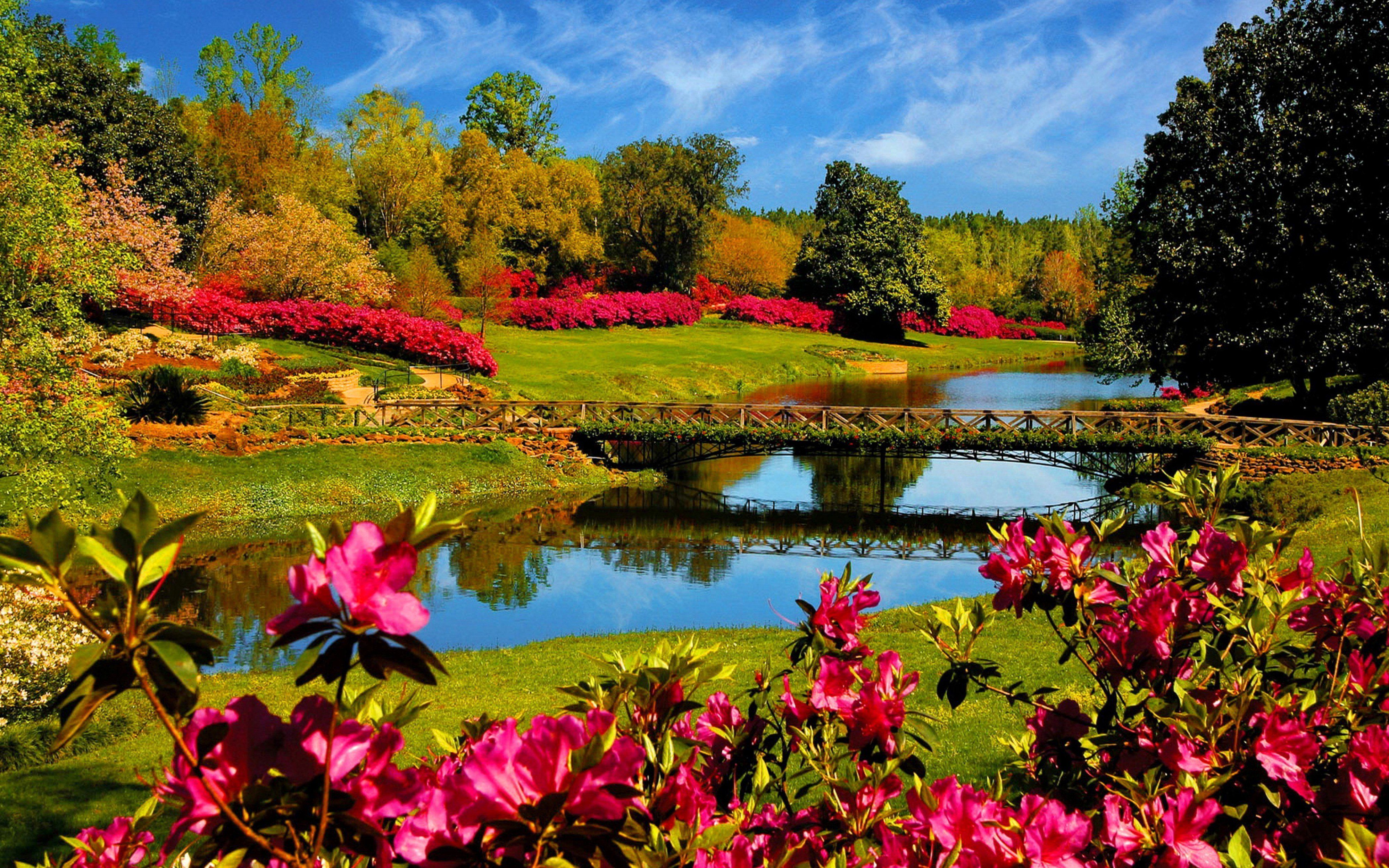 Flowers and Lakes Wallpaper Free Flowers and Lakes Background