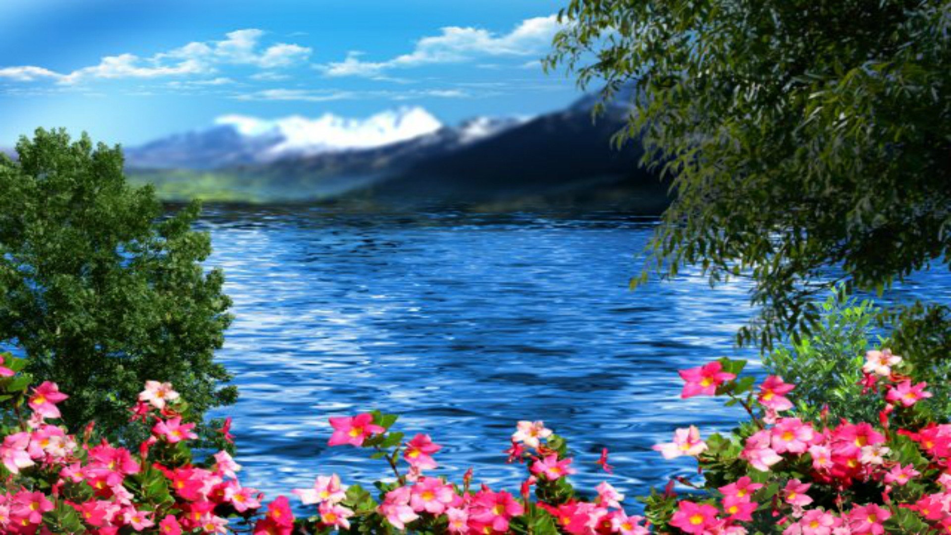 Free photo: Flower and Lake, Lake, Nature