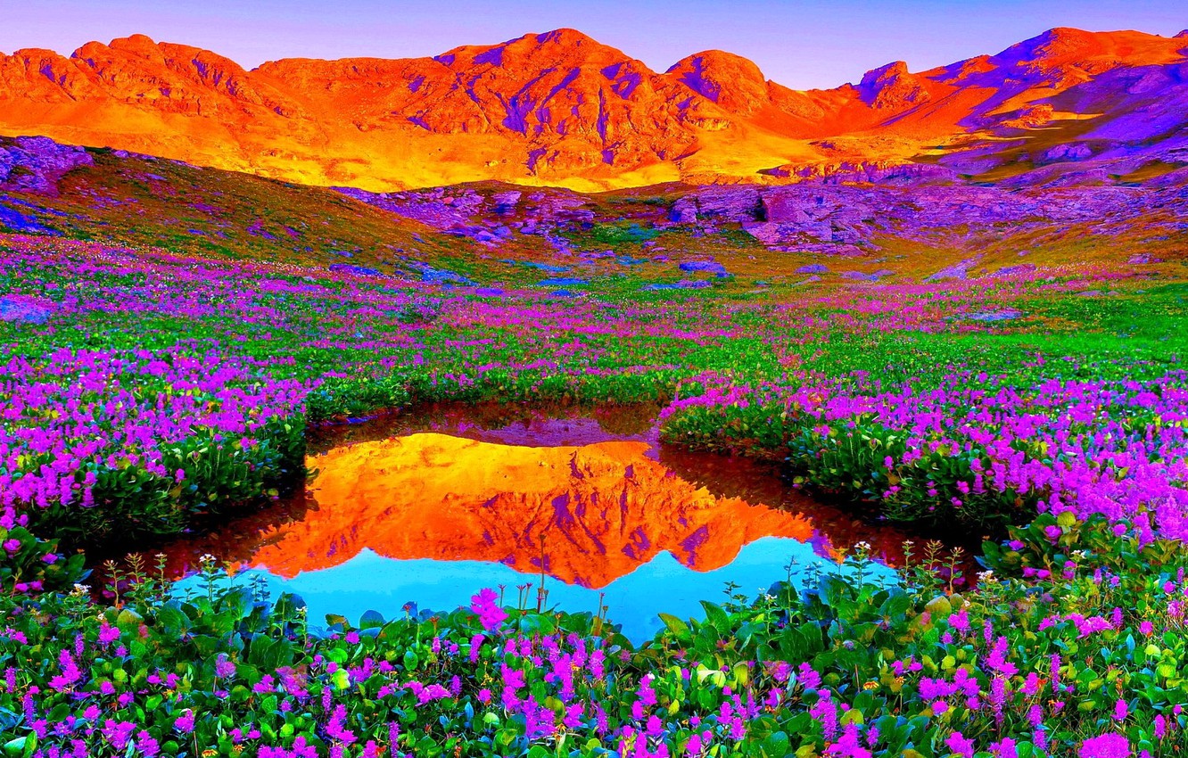 Wallpaper the sky, sunset, flowers, mountains, lake, meadow image for desktop, section природа