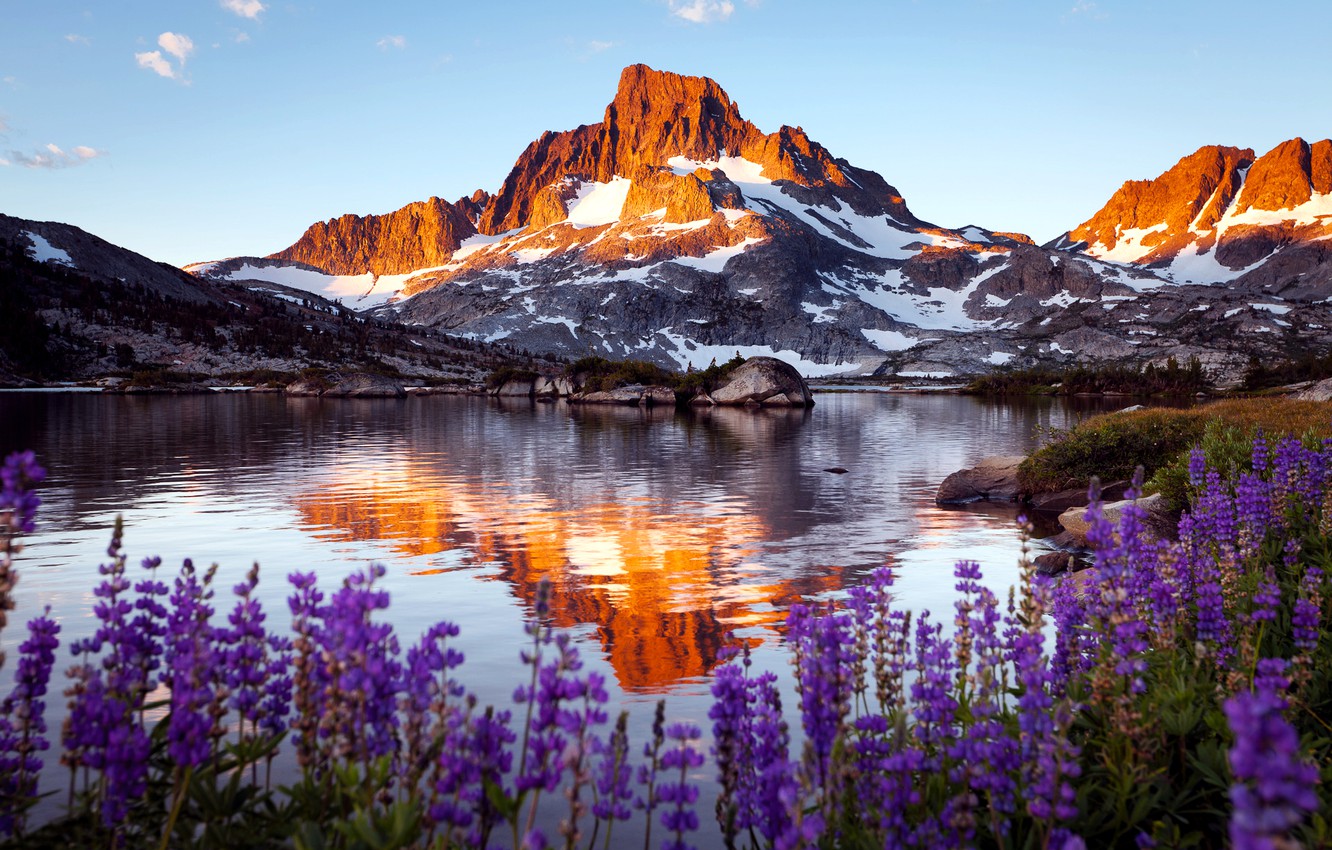 Wallpaper flowers, rock, lake, mountain image for desktop, section пейзажи