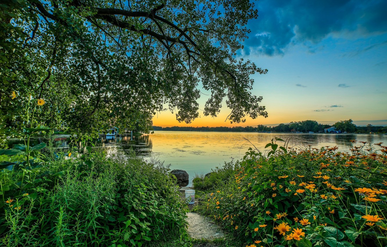 Wallpaper trees, flowers, nature, lake, morning image for desktop, section пейзажи