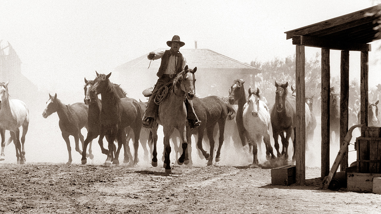Geoff Dyer on first looking into Larry McMurtry's Lonesome Dove