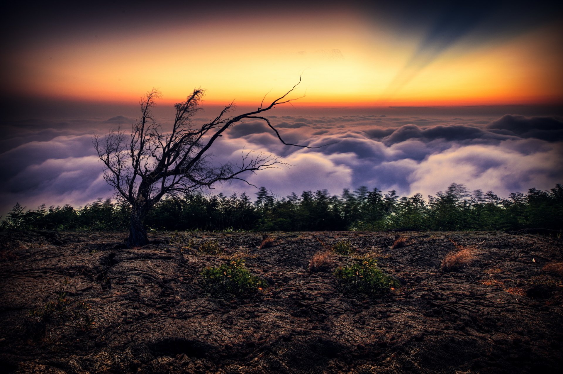 Lonesome Dove HD Wallpaper and Background Image