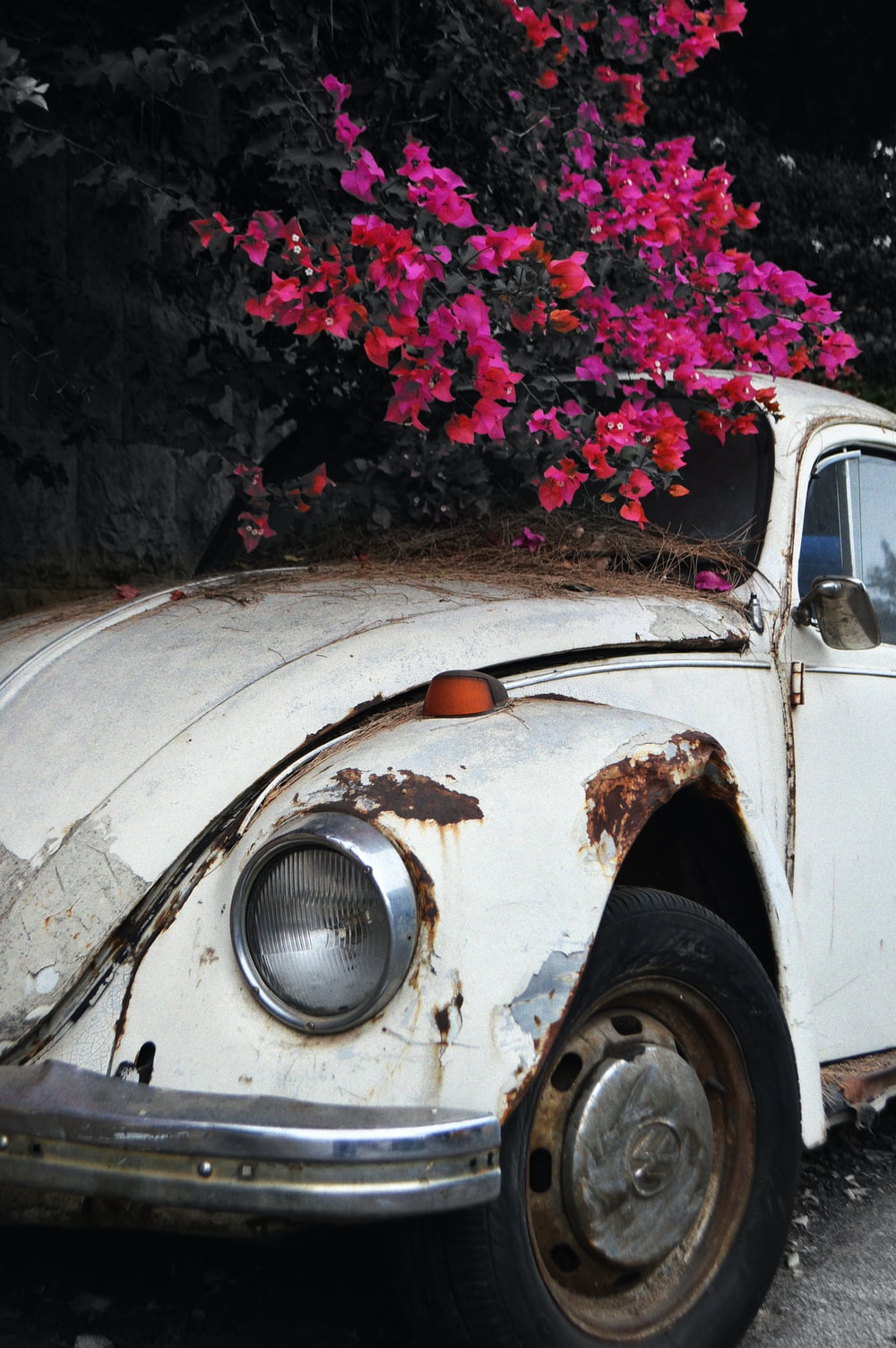 Rusty Car Picture. Download Free Image